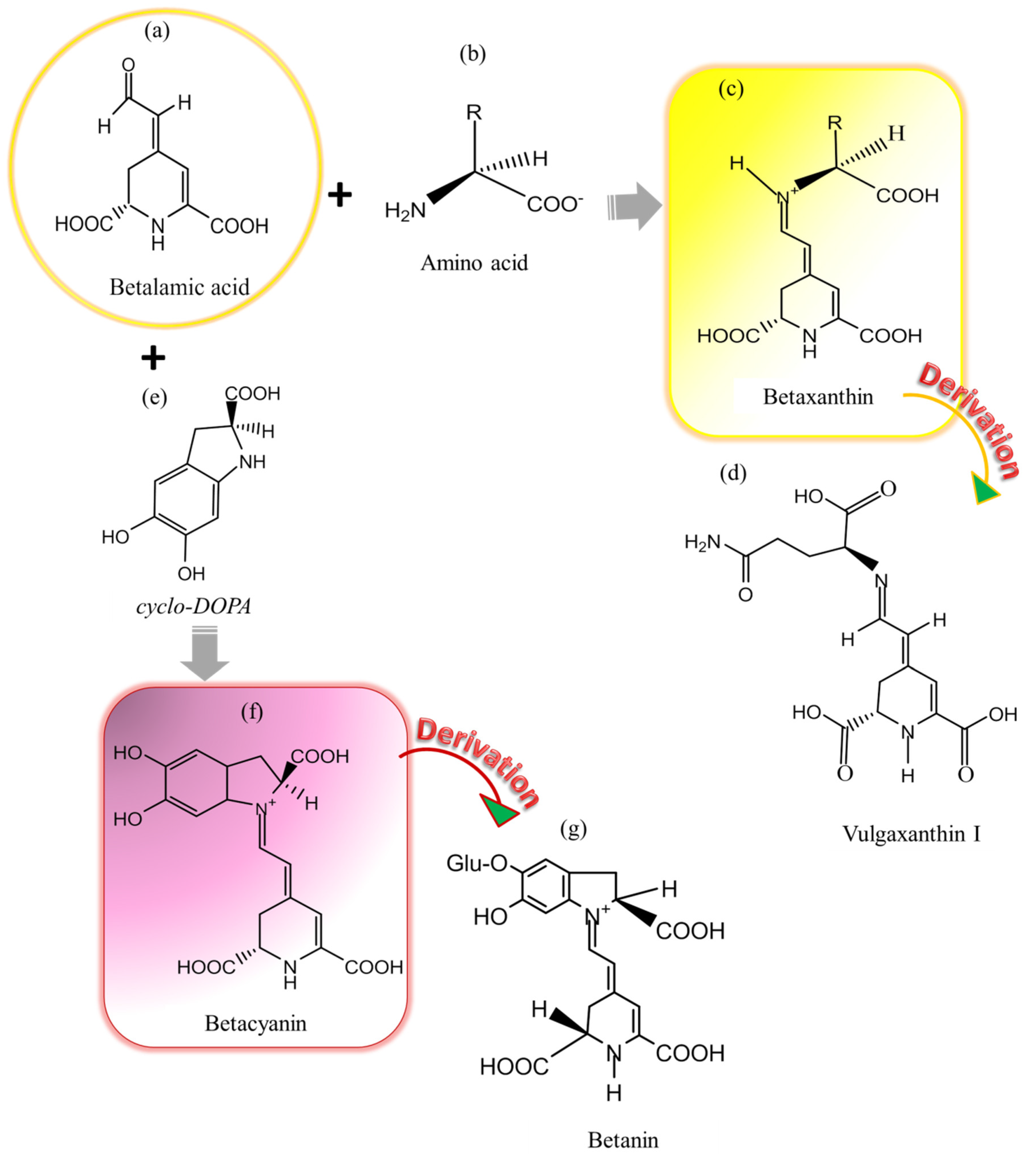 Foods 09 00918 g001 Foods 09 00918 g001