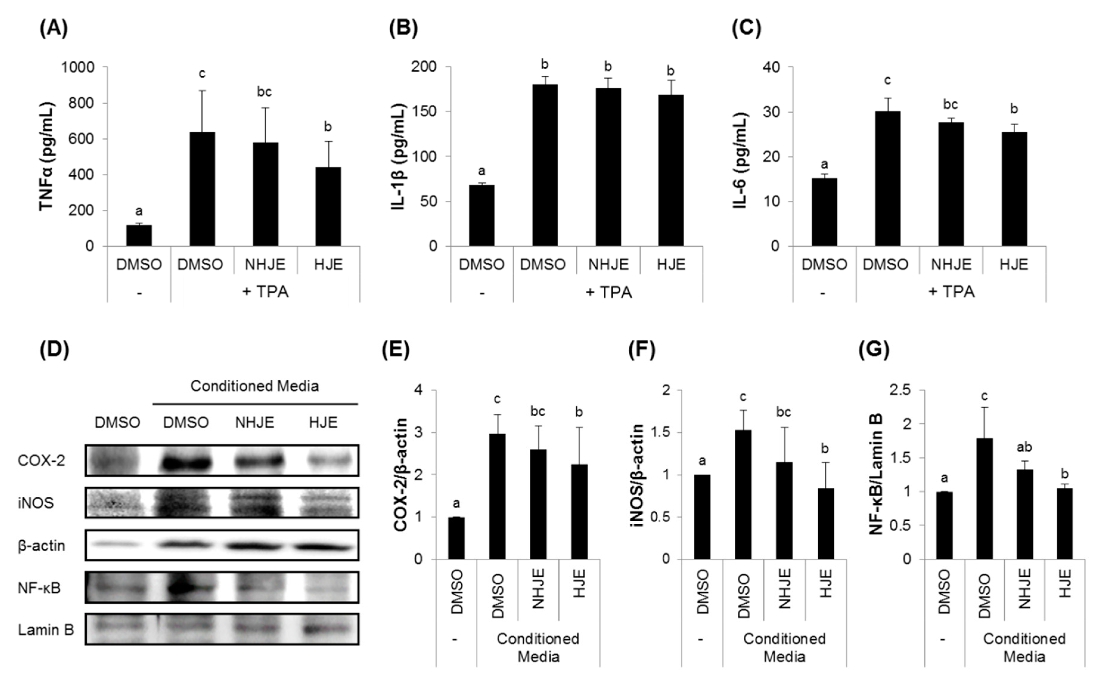 Foods 09 01033 g002 Foods 09 01033 g002