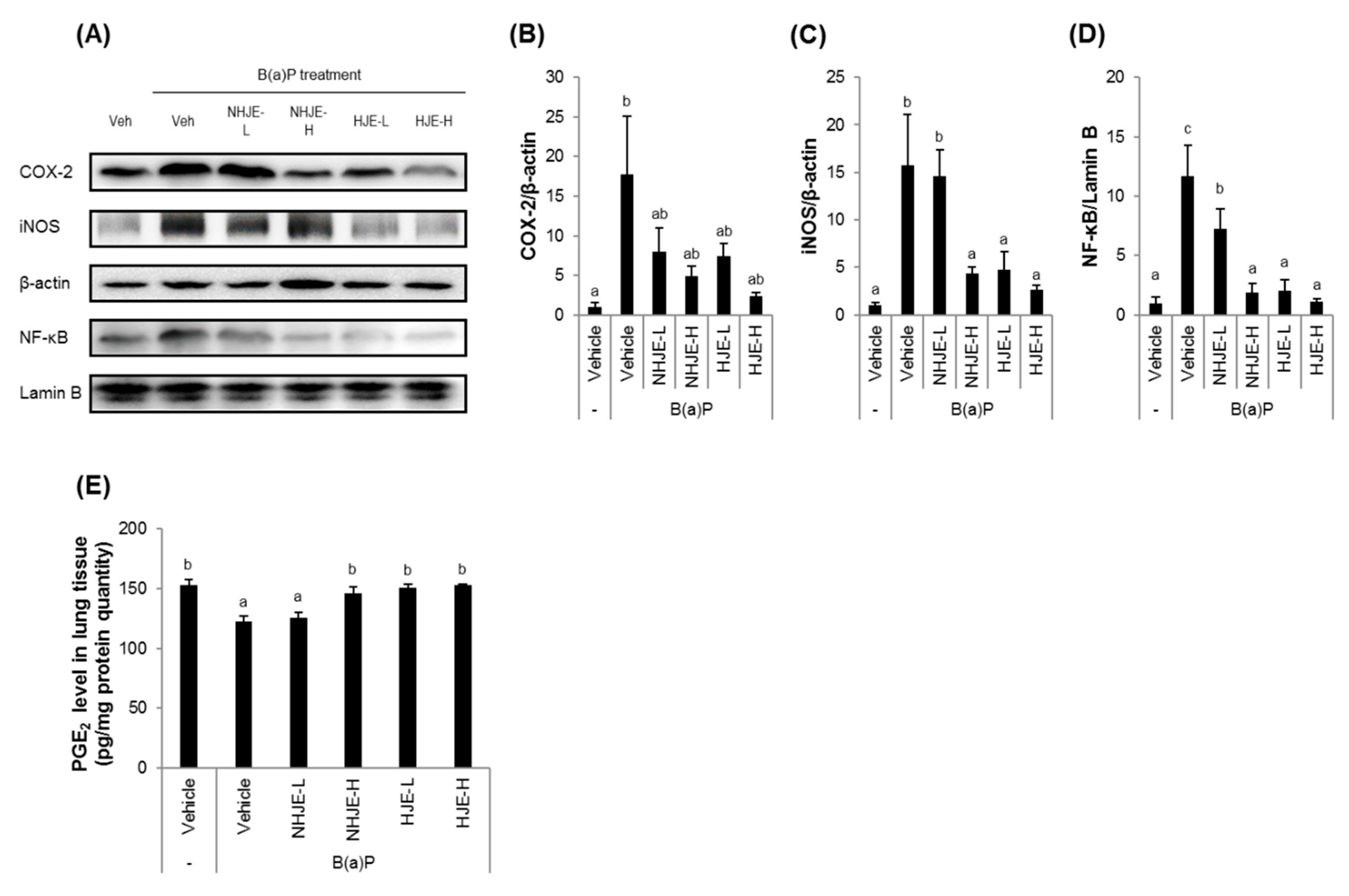 Foods 09 01033 g005 Foods 09 01033 g005
