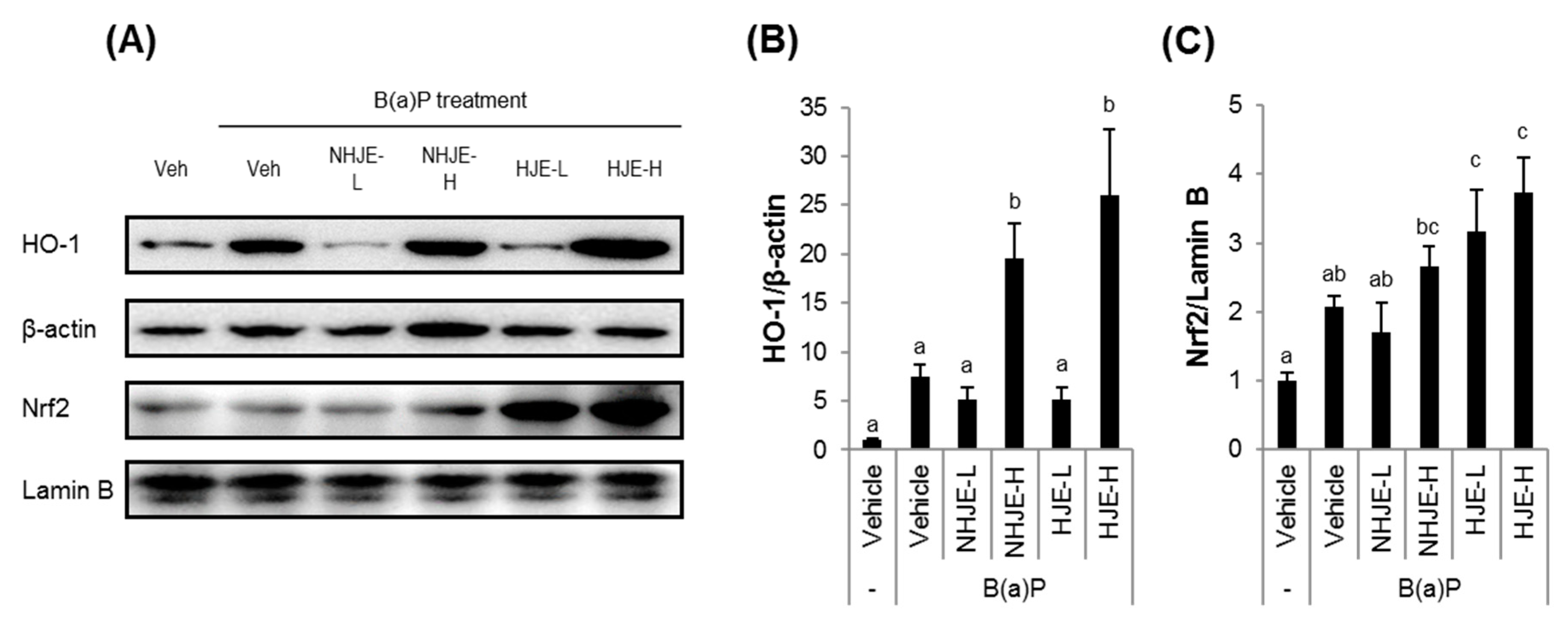 Foods 09 01033 g006 Foods 09 01033 g006