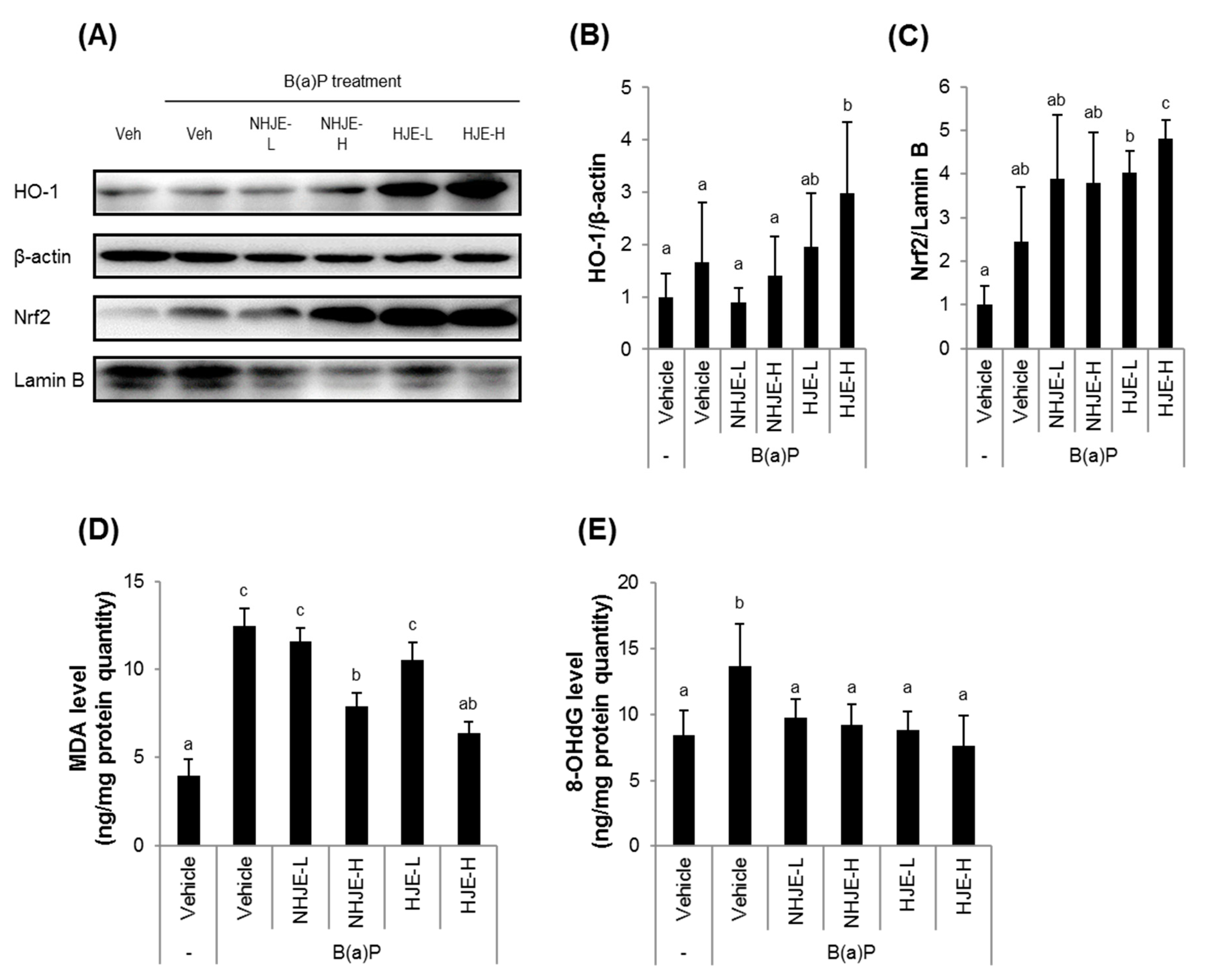 Foods 09 01033 g007 Foods 09 01033 g007