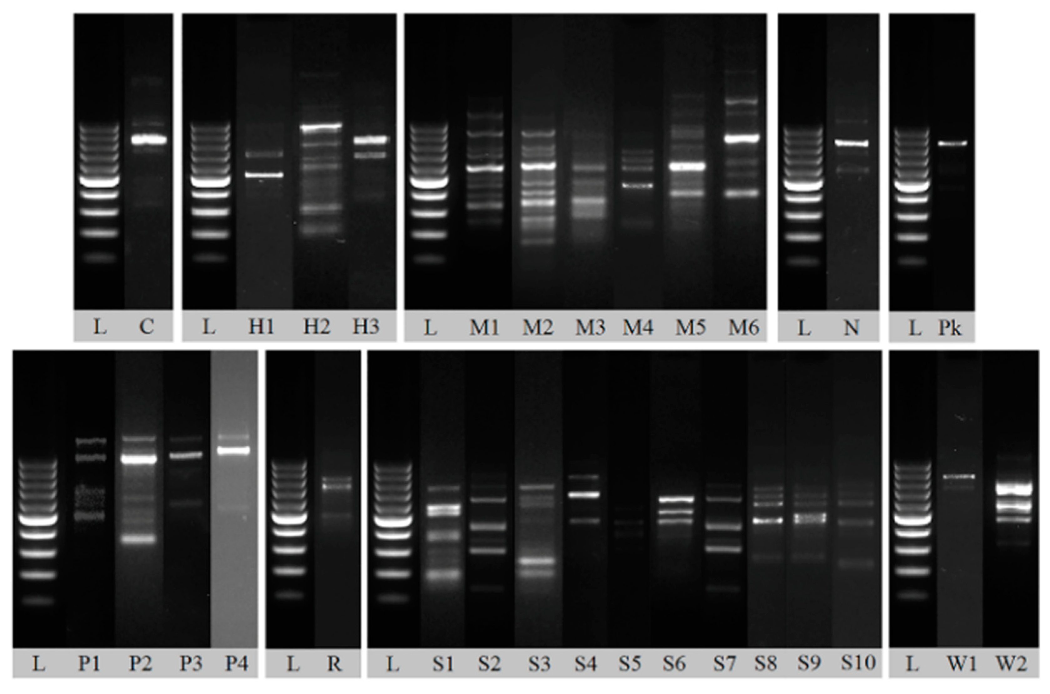 Foods 09 01054 g005 Foods 09 01054 g005
