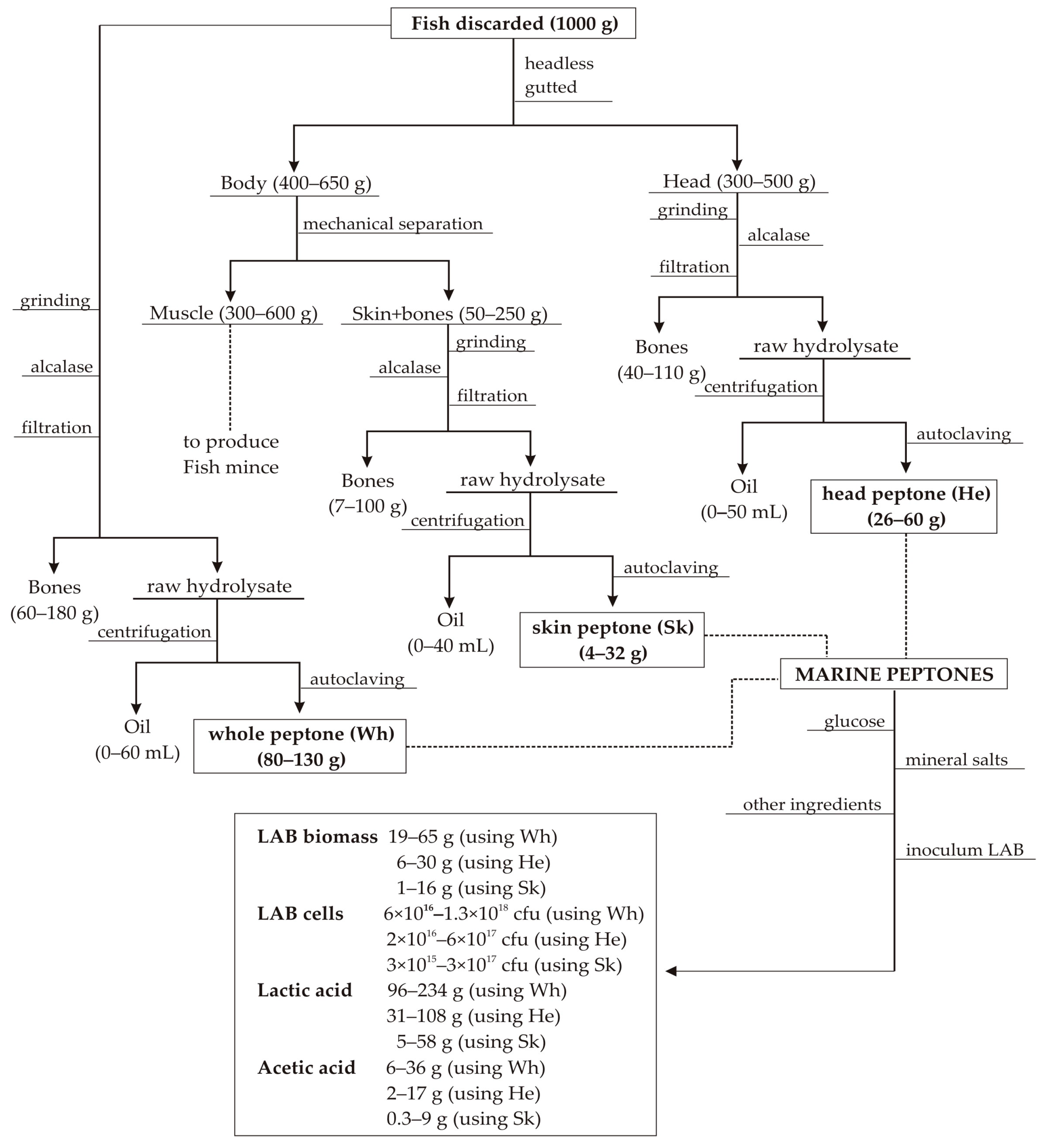 Foods 09 01239 g001 Foods 09 01239 g001