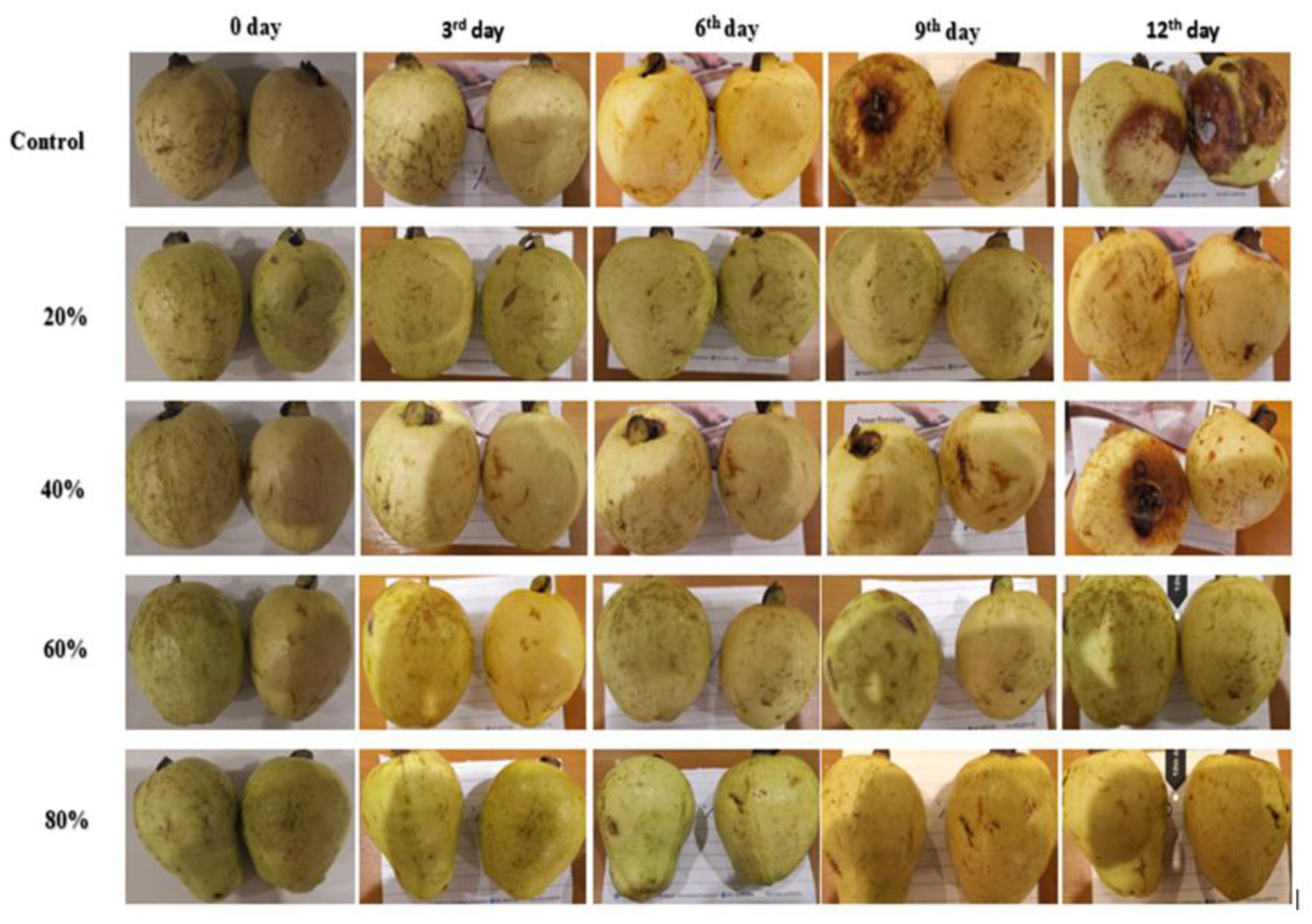 Foods 09 01361 g001 Foods 09 01361 g001