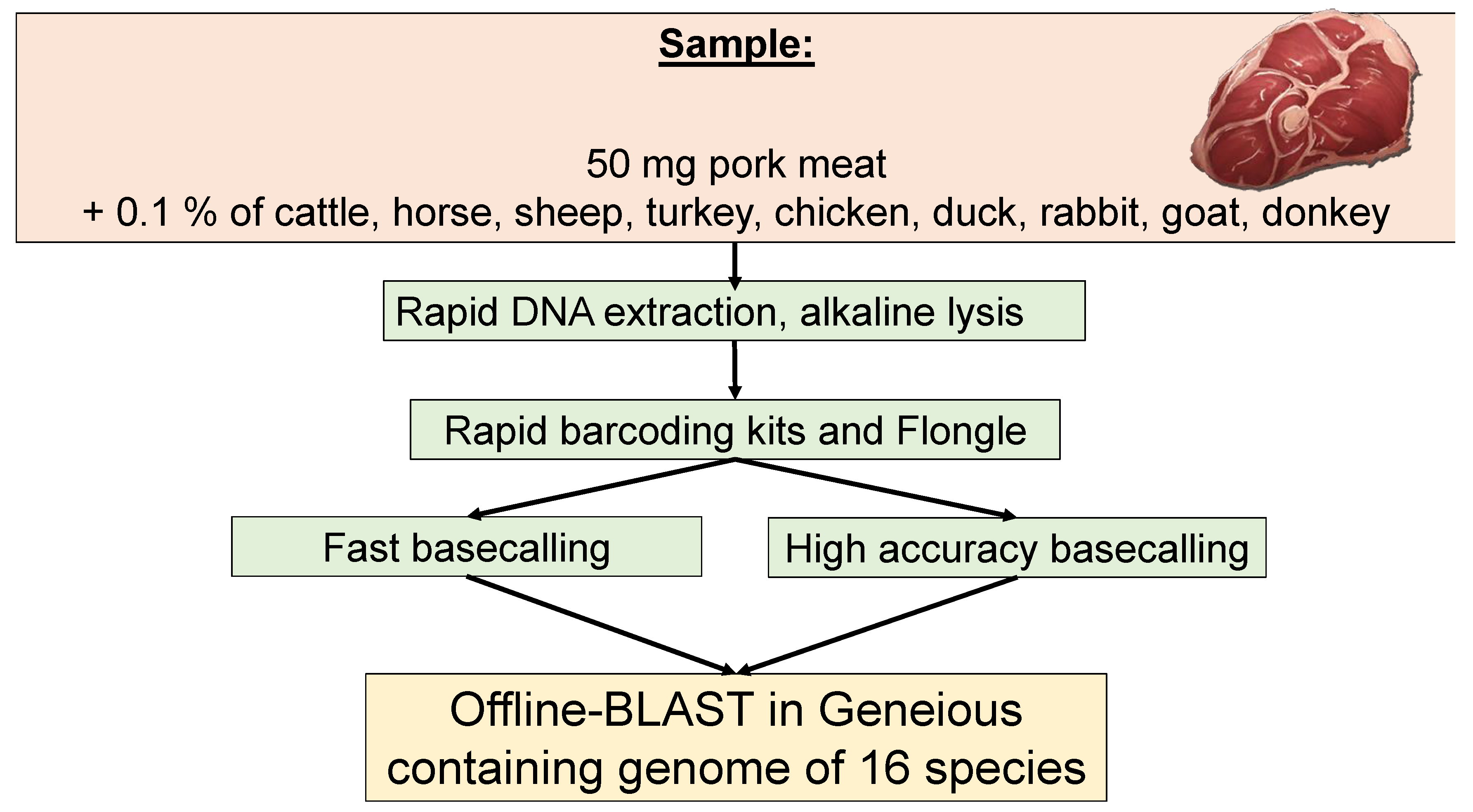 Foods 09 01392 g001 Foods 09 01392 g001