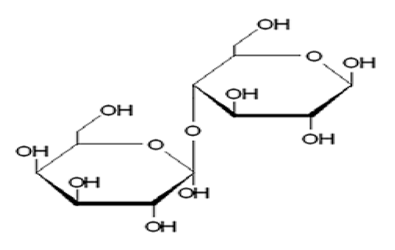 Foods 09 01400 i004 Foods 09 01400 i004