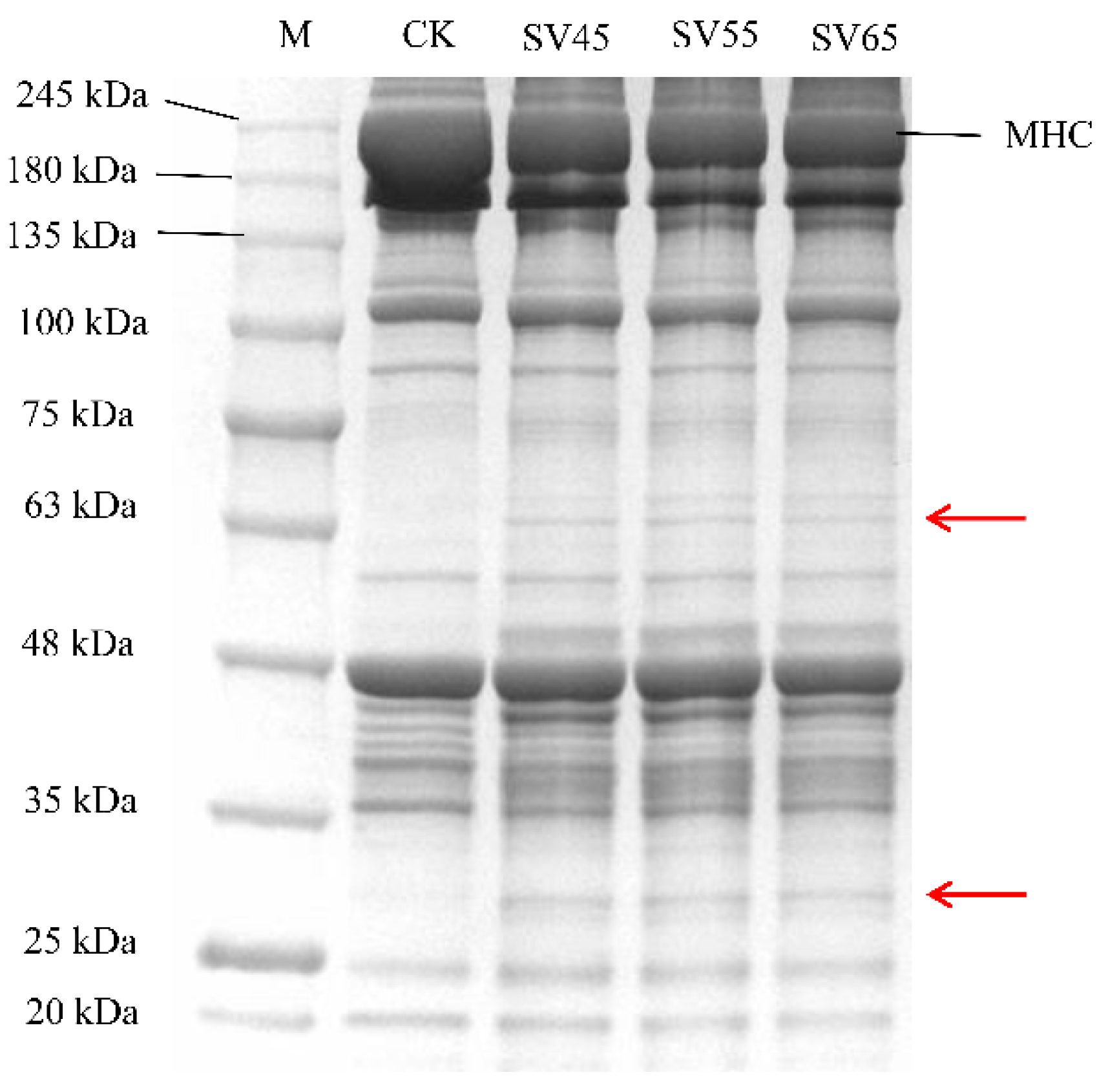 Foods 09 01441 g005 Foods 09 01441 g005