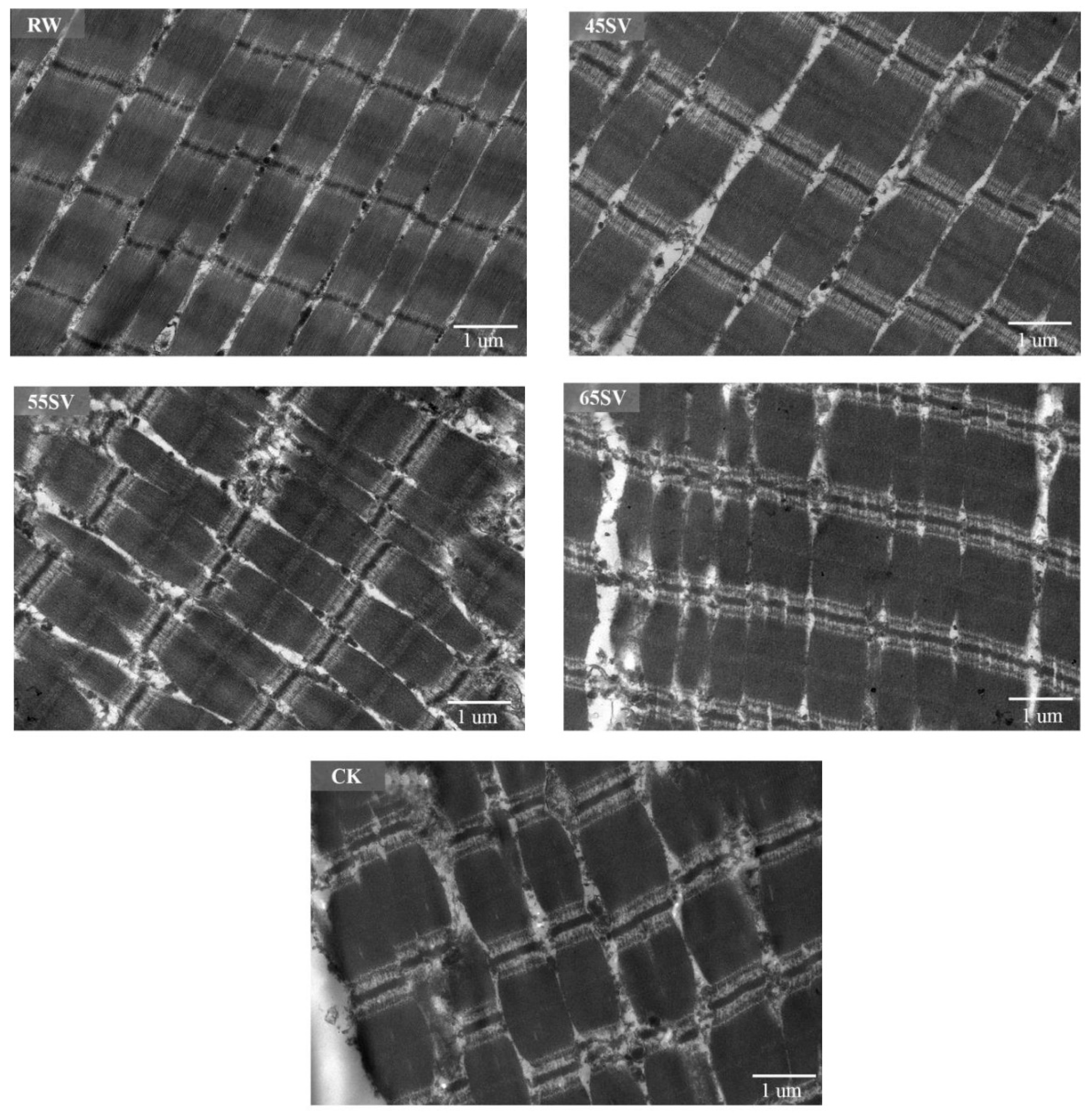 Foods 09 01441 g006 Foods 09 01441 g006