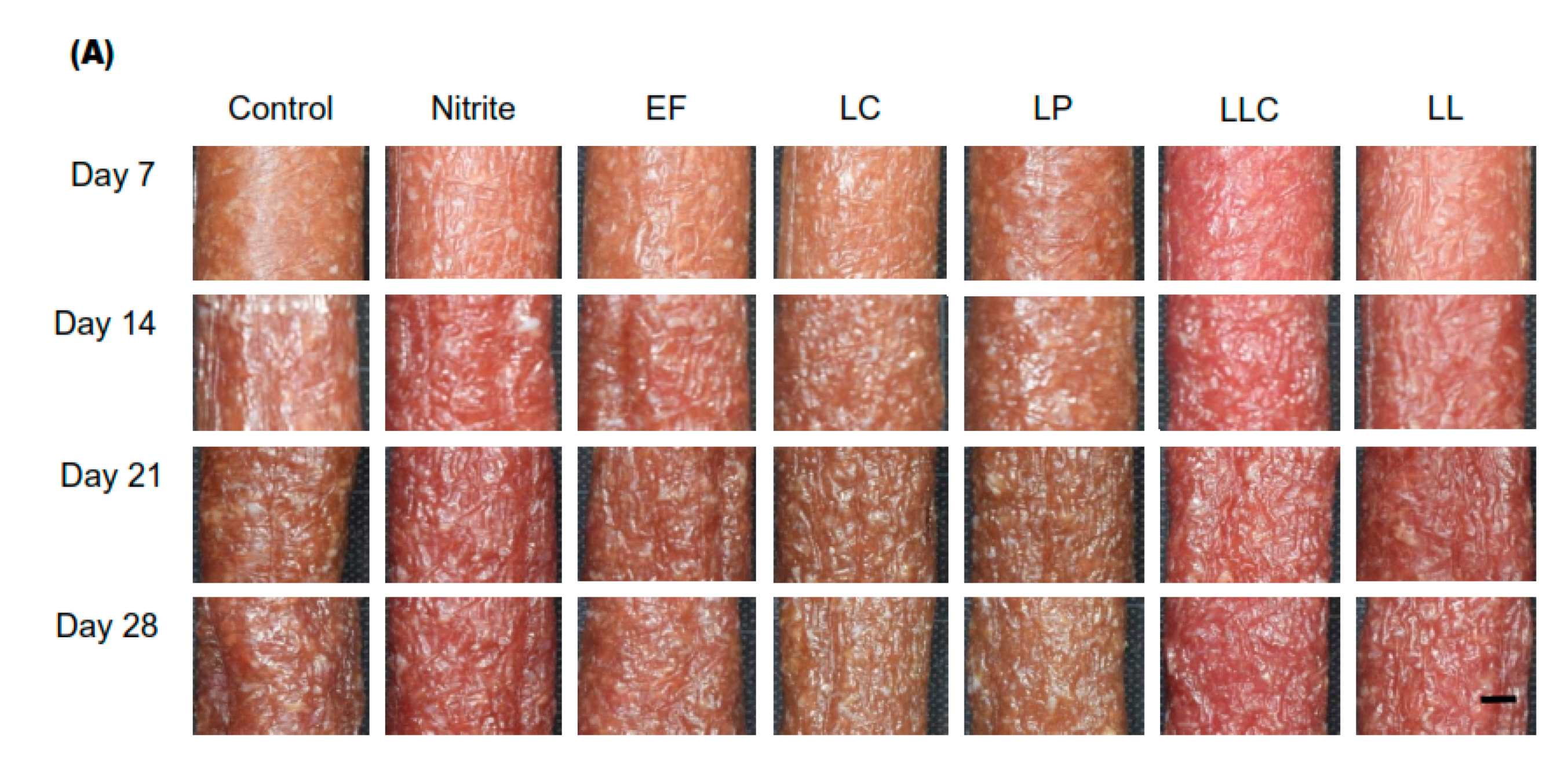 Foods 09 01583 g002a