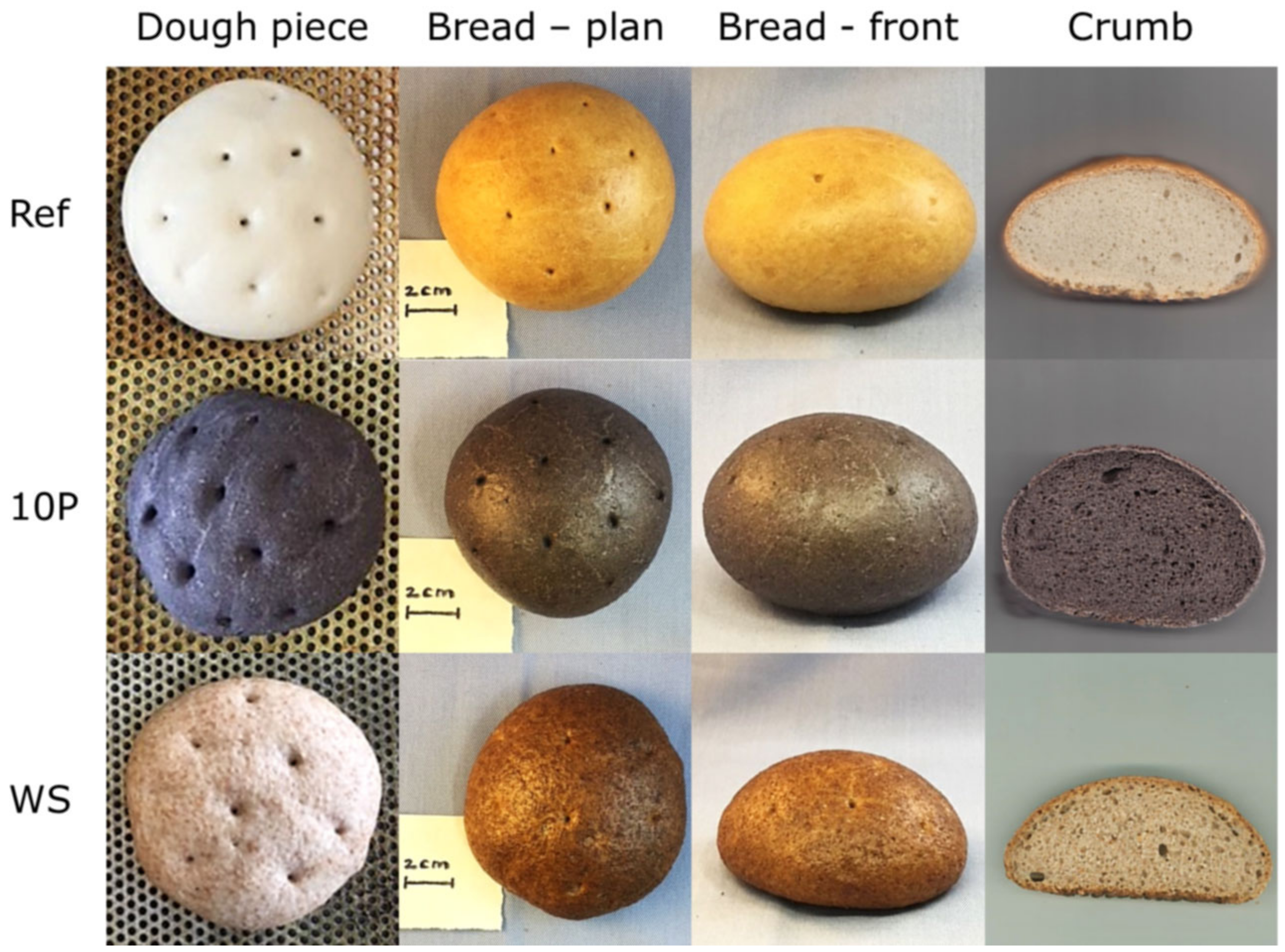 Foods 09 01600 g004 Foods 09 01600 g004