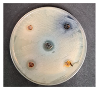 Foods 09 01620 i006 Foods 09 01620 i006