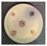 Foods 09 01620 i008 Foods 09 01620 i008