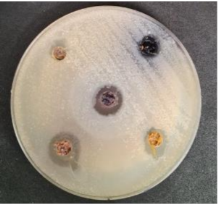 Foods 09 01620 i009 Foods 09 01620 i009