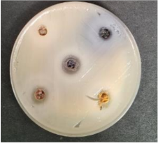 Foods 09 01620 i011 Foods 09 01620 i011