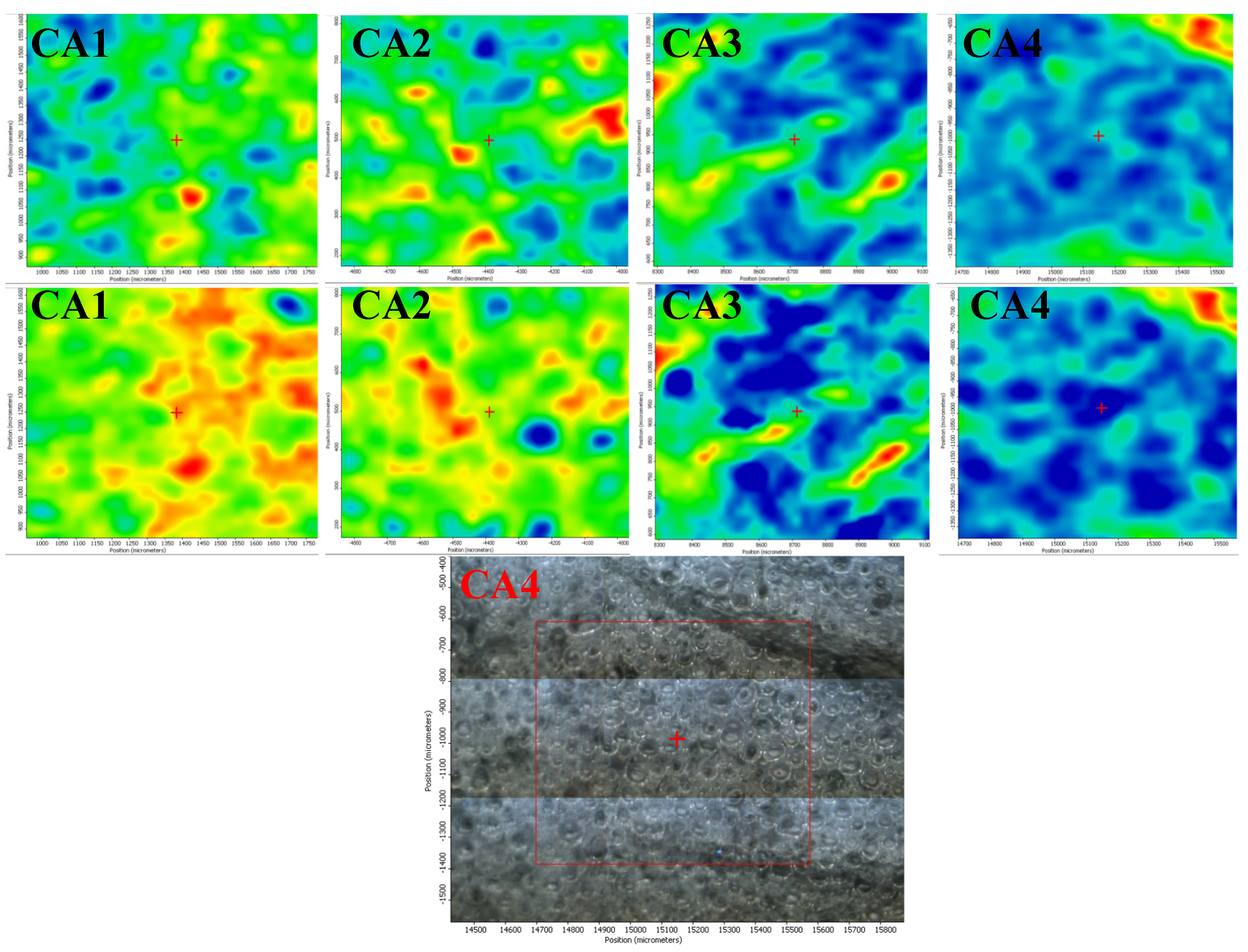 Foods 09 01801 g002 Foods 09 01801 g002