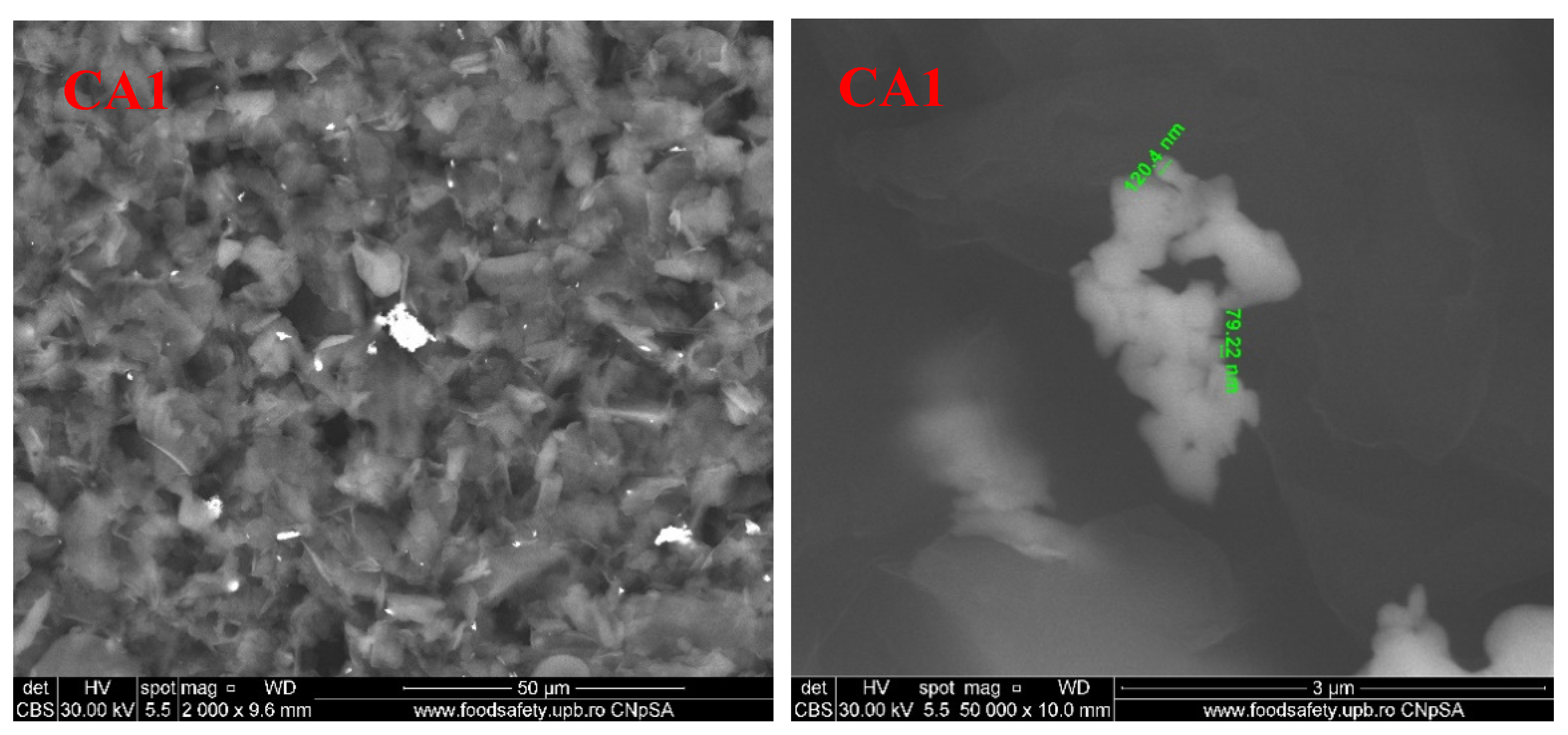 Foods 09 01801 g012a Foods 09 01801 g012a