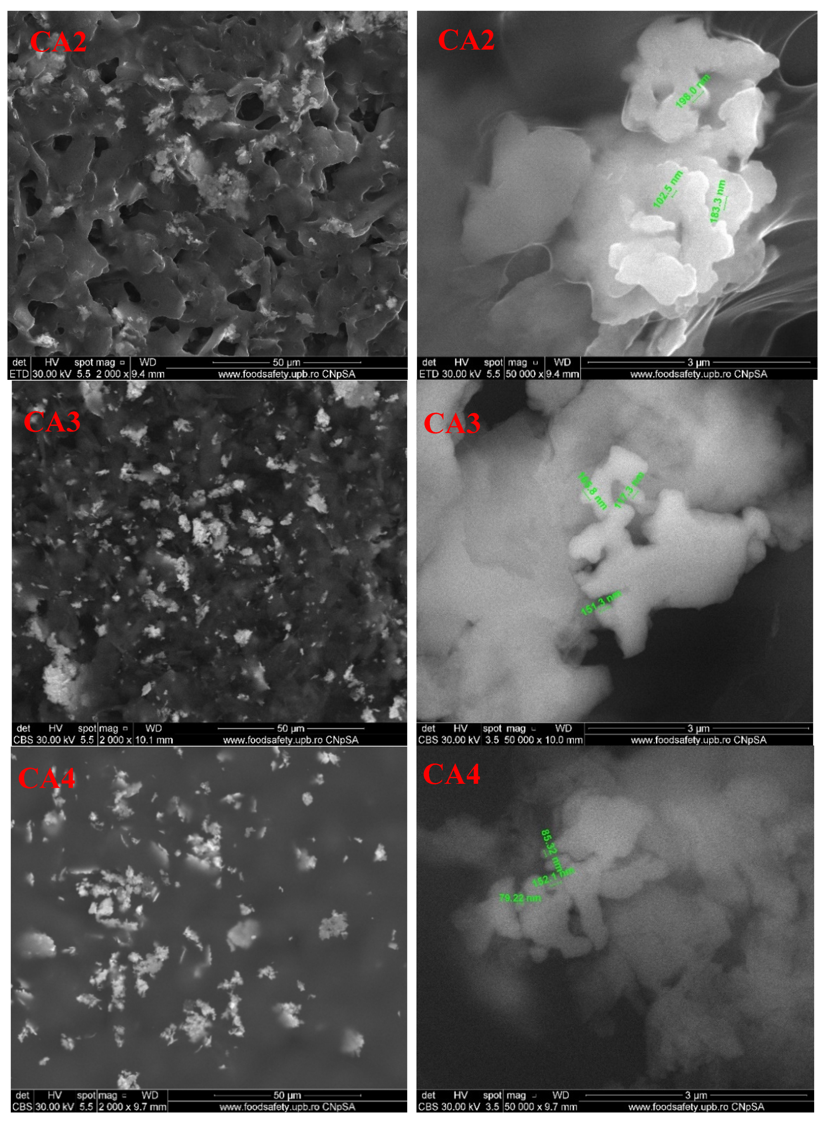 Foods 09 01801 g012b Foods 09 01801 g012b