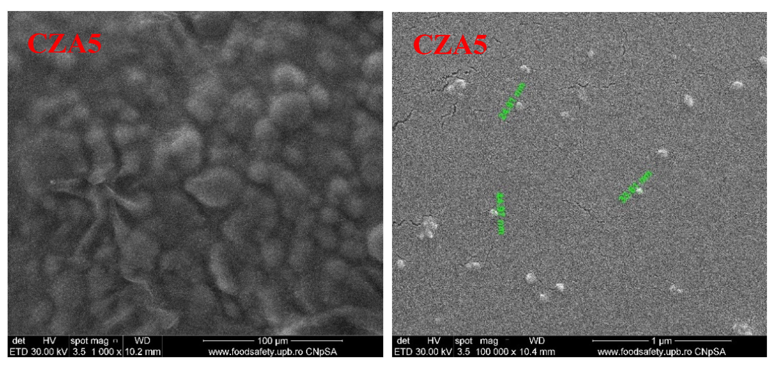 Foods 09 01801 g013b Foods 09 01801 g013b