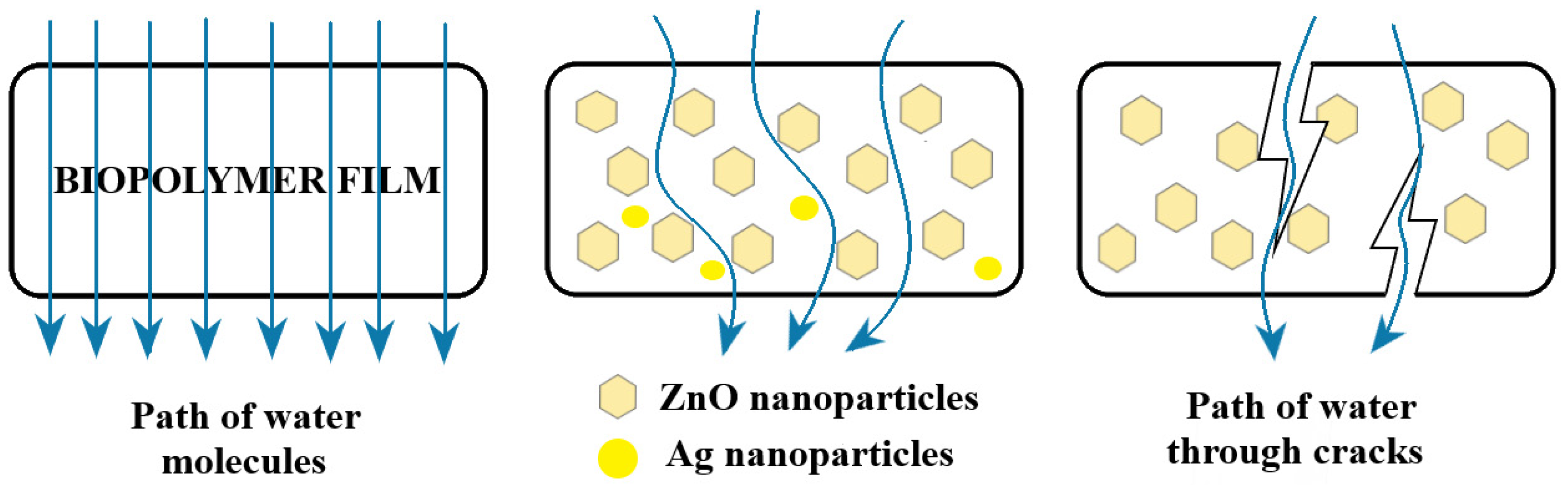 Foods 09 01801 g014 Foods 09 01801 g014