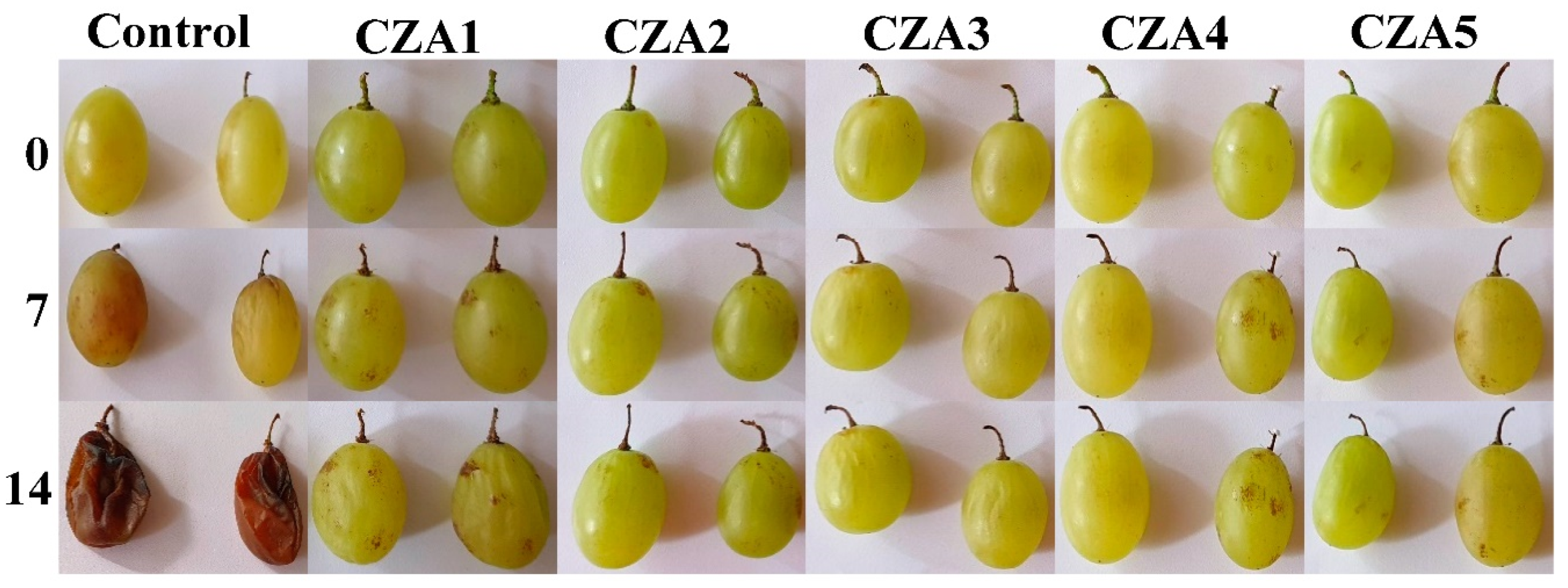 Foods 09 01801 g018 Foods 09 01801 g018