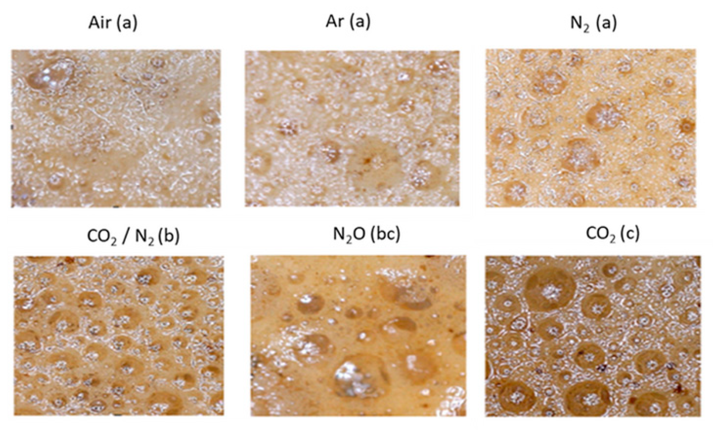 Foods 09 01825 g002 Foods 09 01825 g002