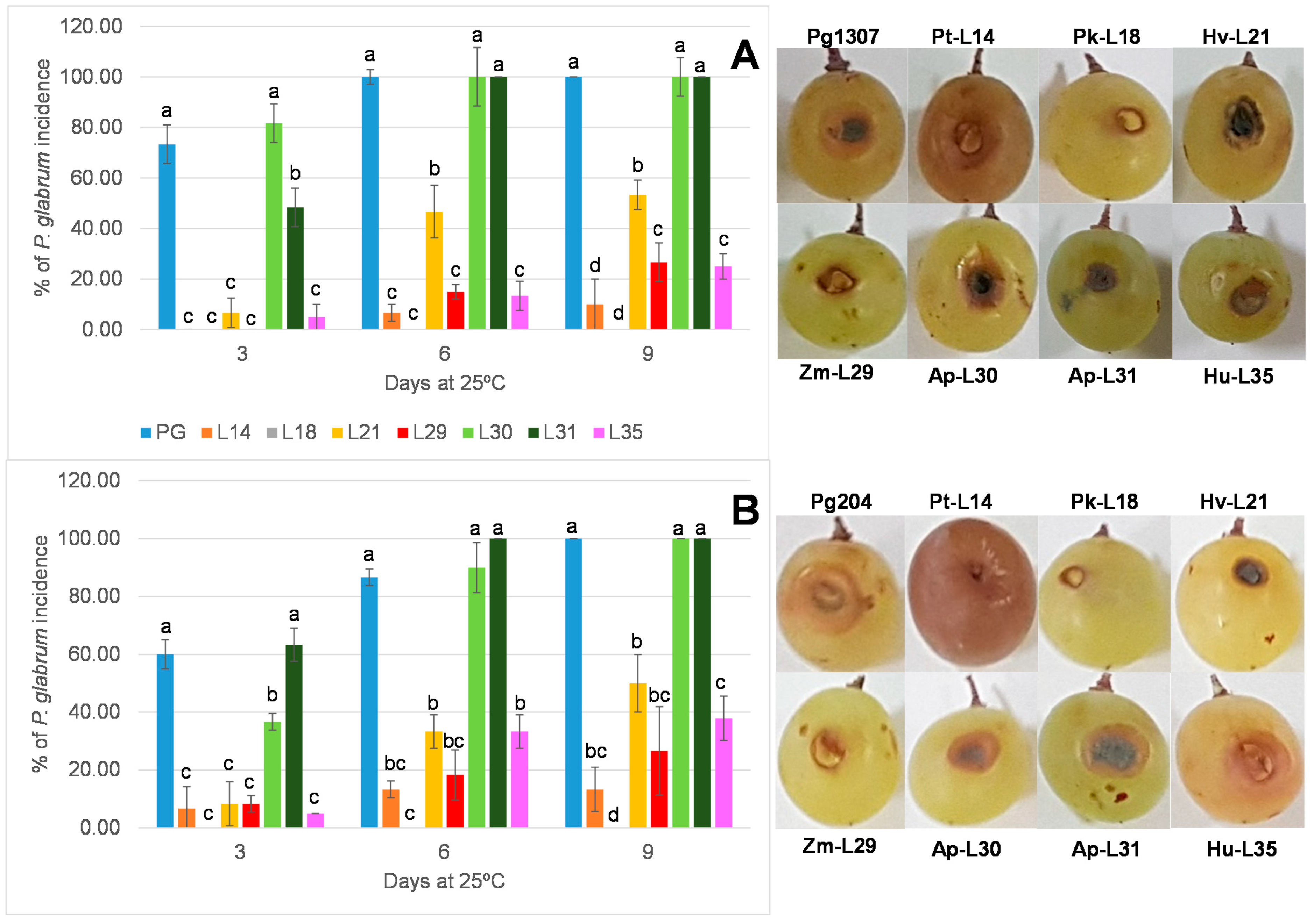 Foods 09 01864 g003 Foods 09 01864 g003