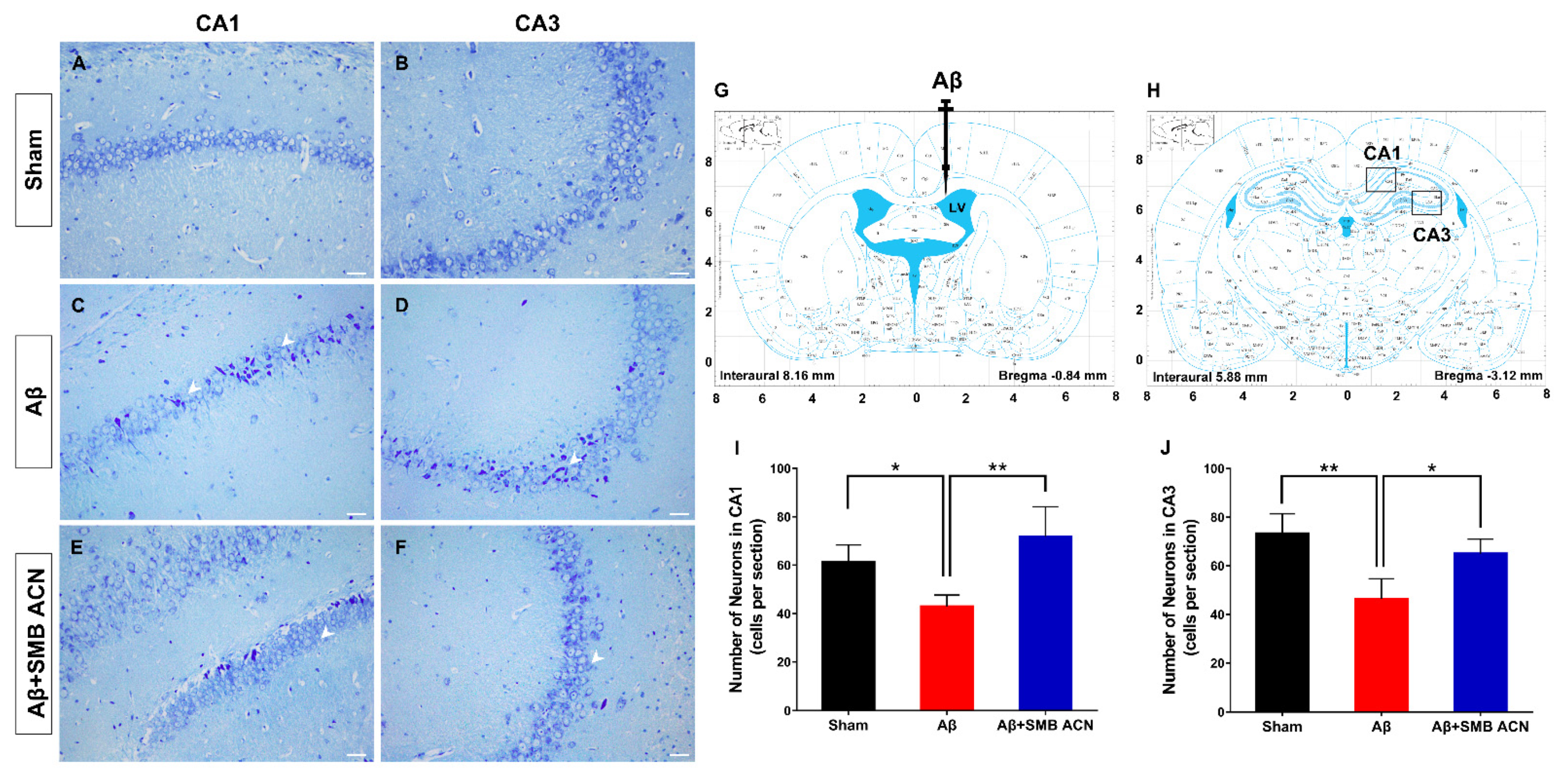 Foods 10 00063 g006 Foods 10 00063 g006