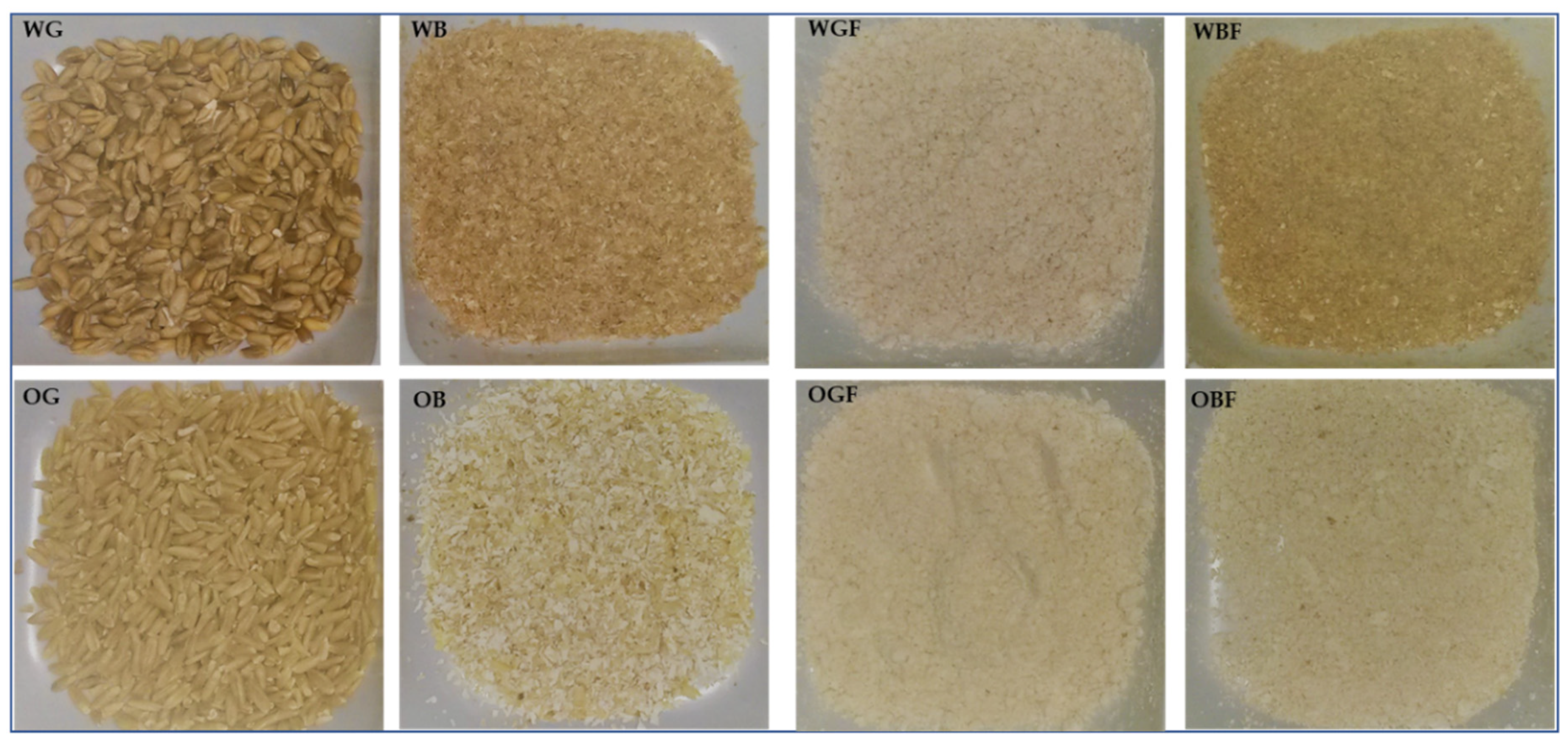 Foods 10 00115 g001