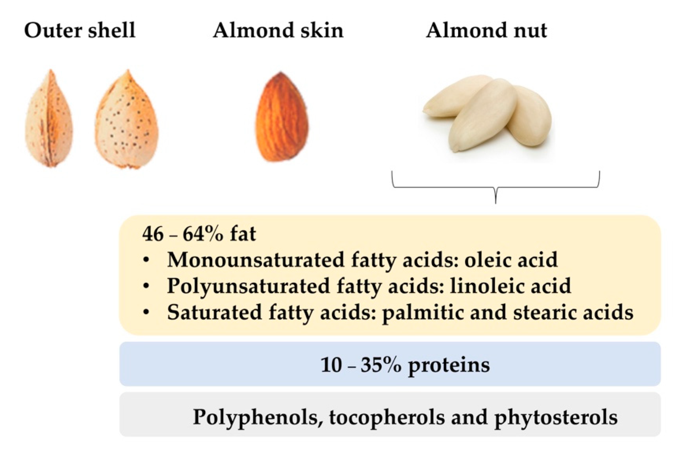 Foods 10 00153 g002 Foods 10 00153 g002