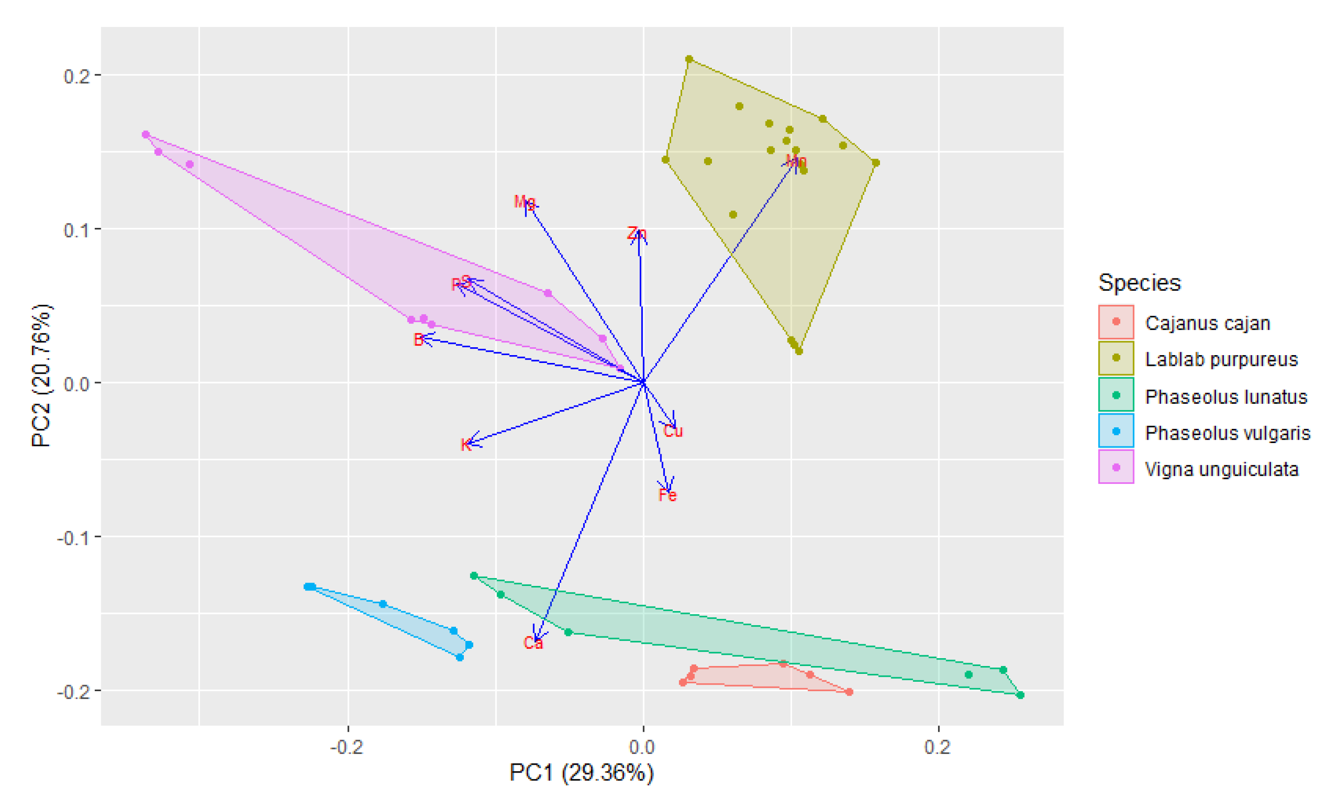 Foods 10 00206 g004 Foods 10 00206 g004