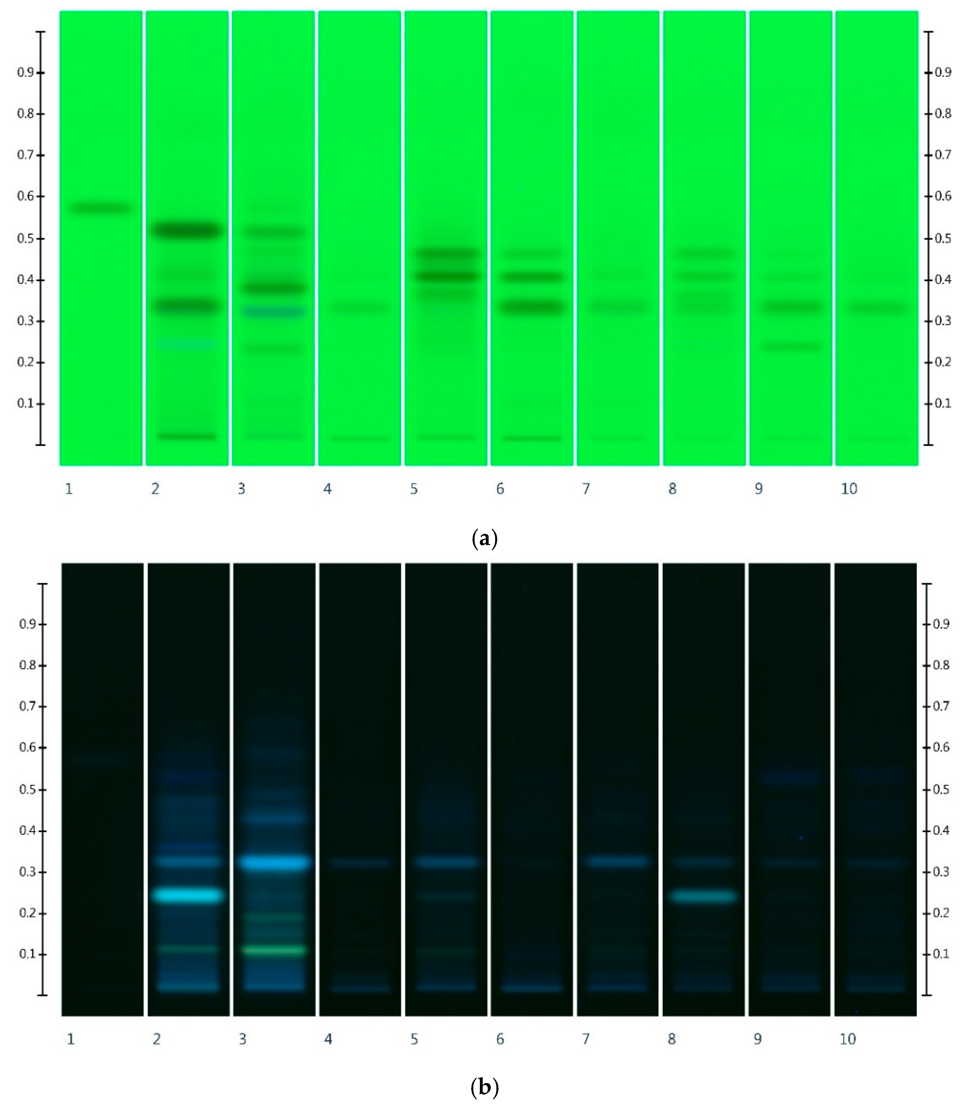 Foods 10 00357 g002a