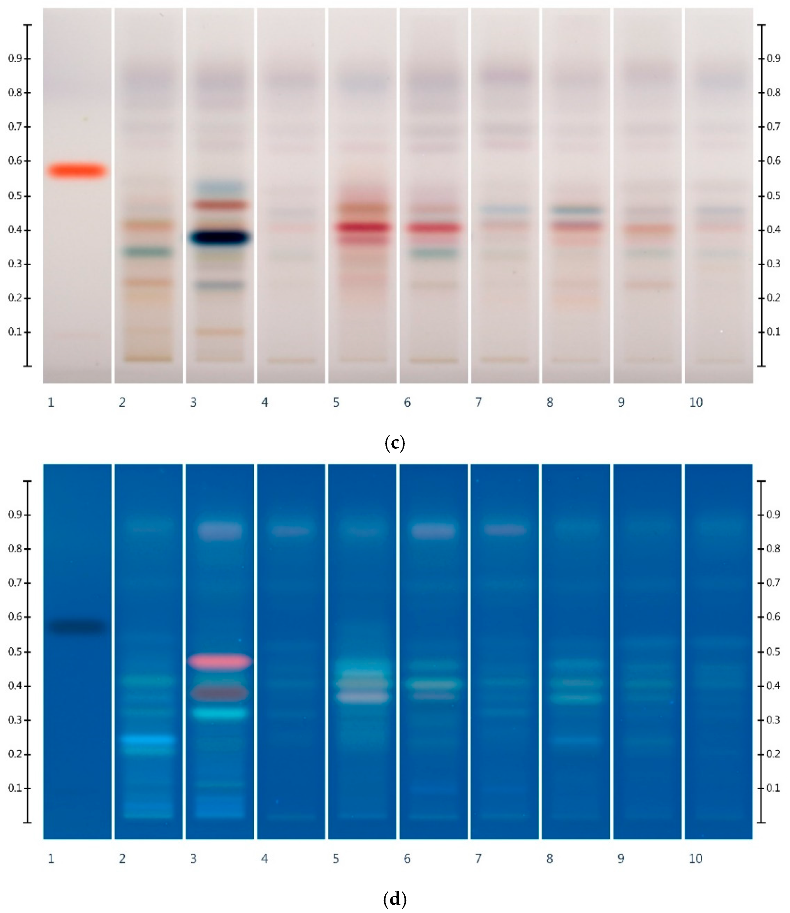 Foods 10 00357 g002b