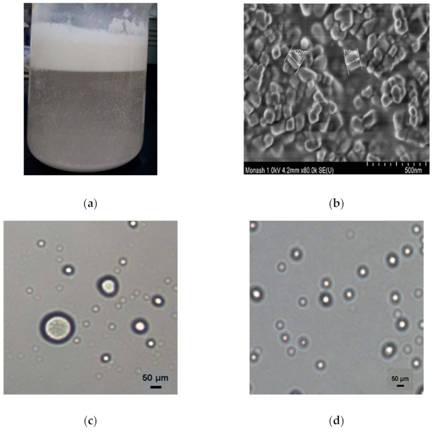 Foods 10 00358 g001a