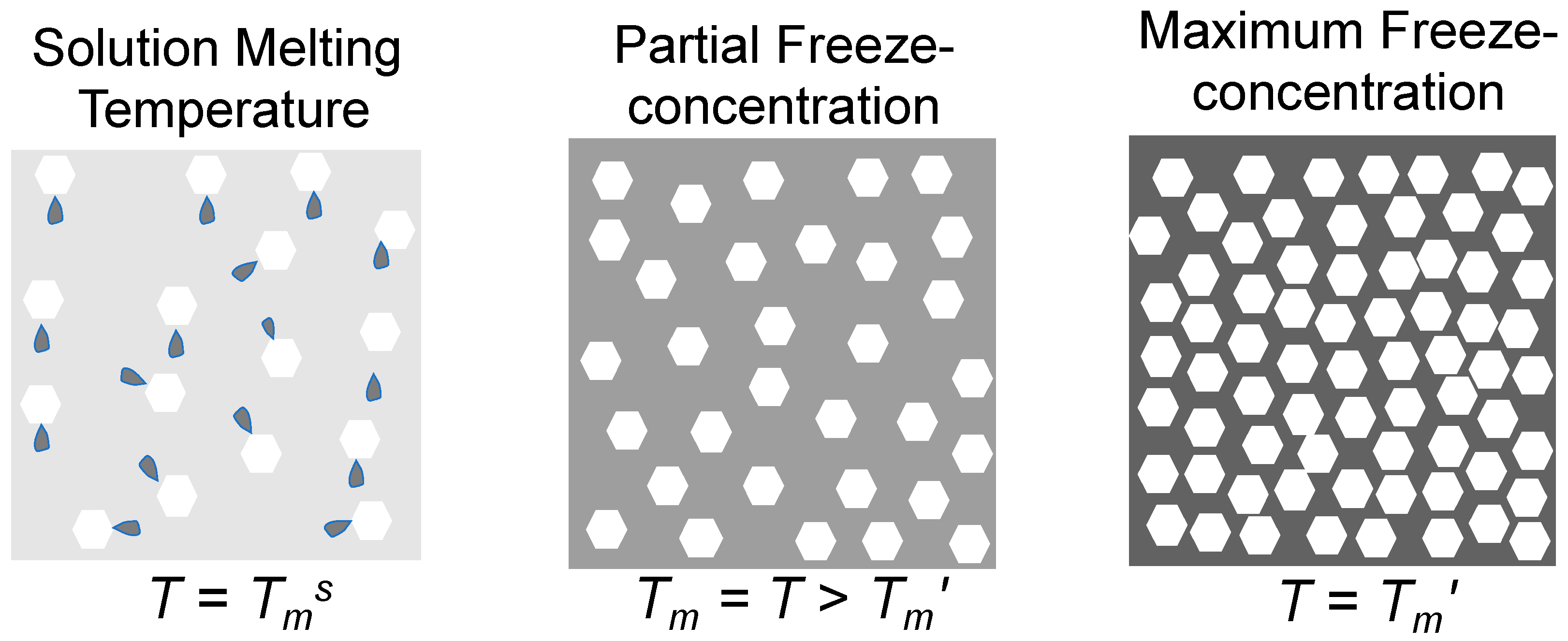 Foods 10 00447 g001 Foods 10 00447 g001