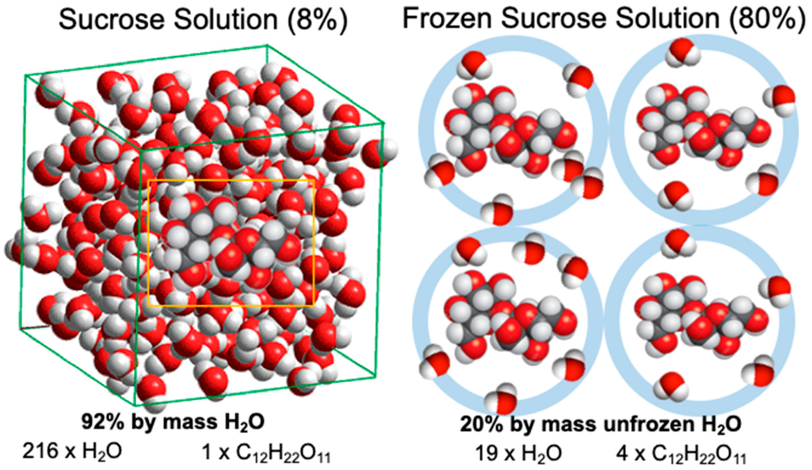 Foods 10 00447 g004 Foods 10 00447 g004