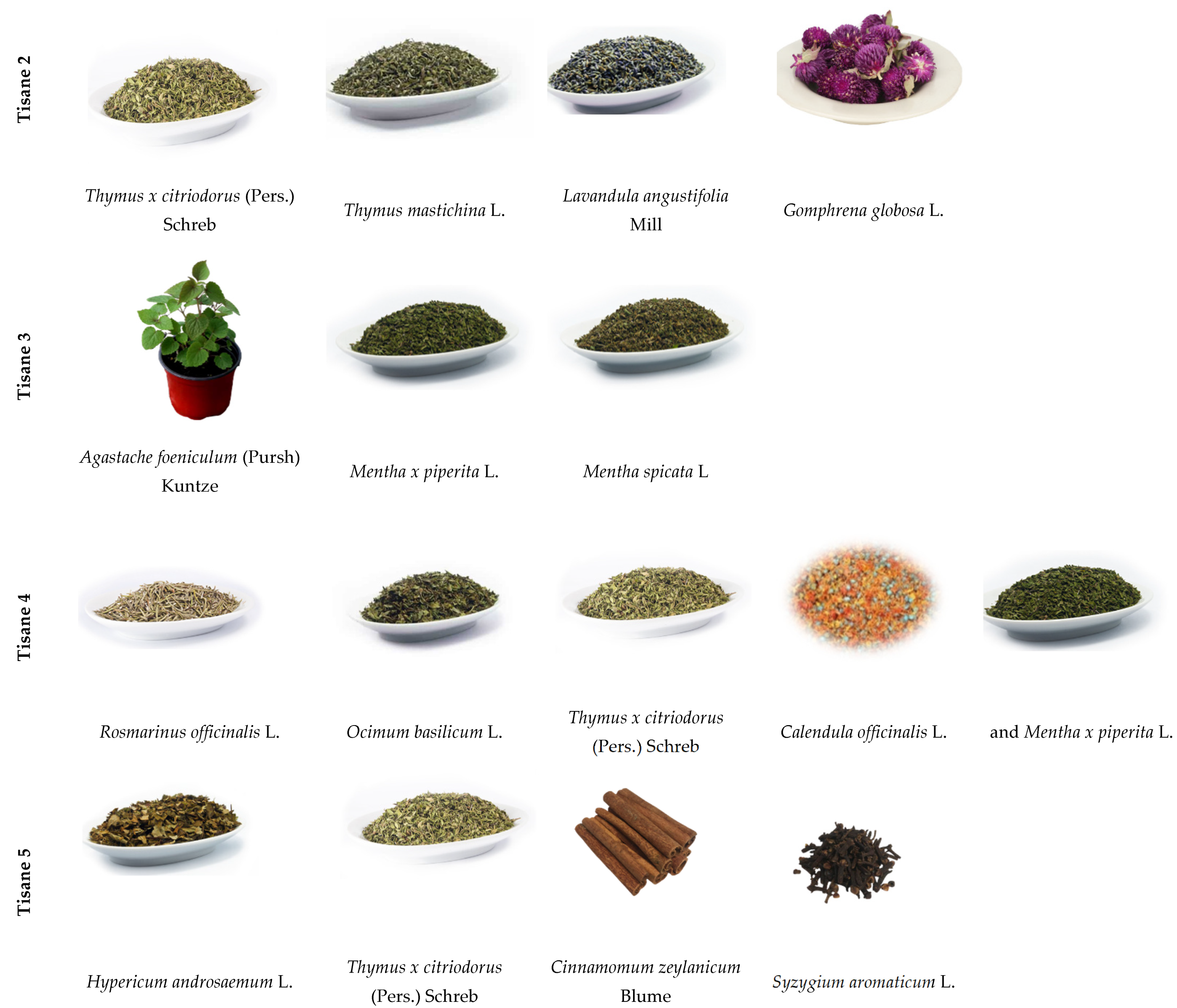 Foods 10 00475 g001b Foods 10 00475 g001b