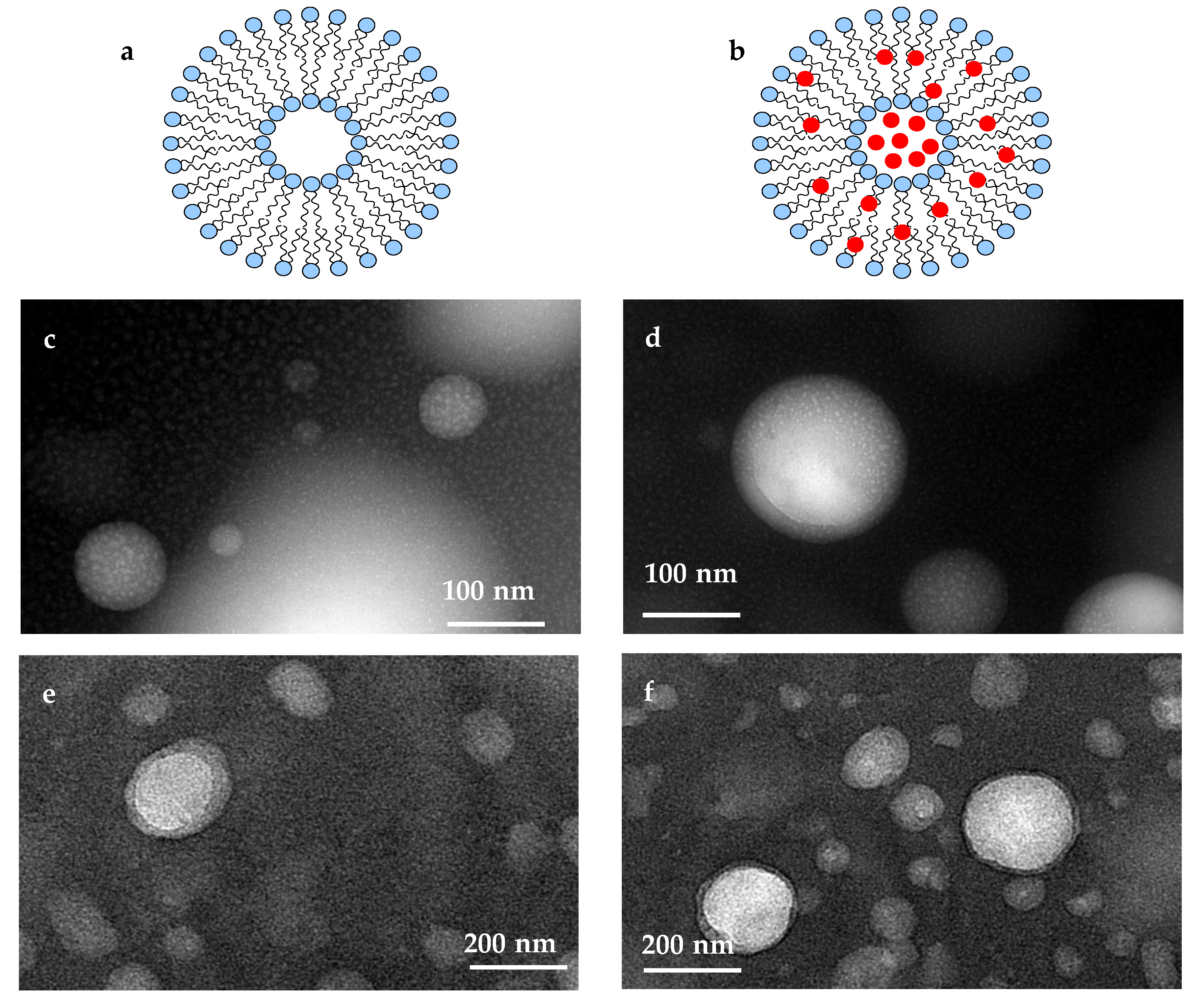 Foods 10 00492 g002 Foods 10 00492 g002