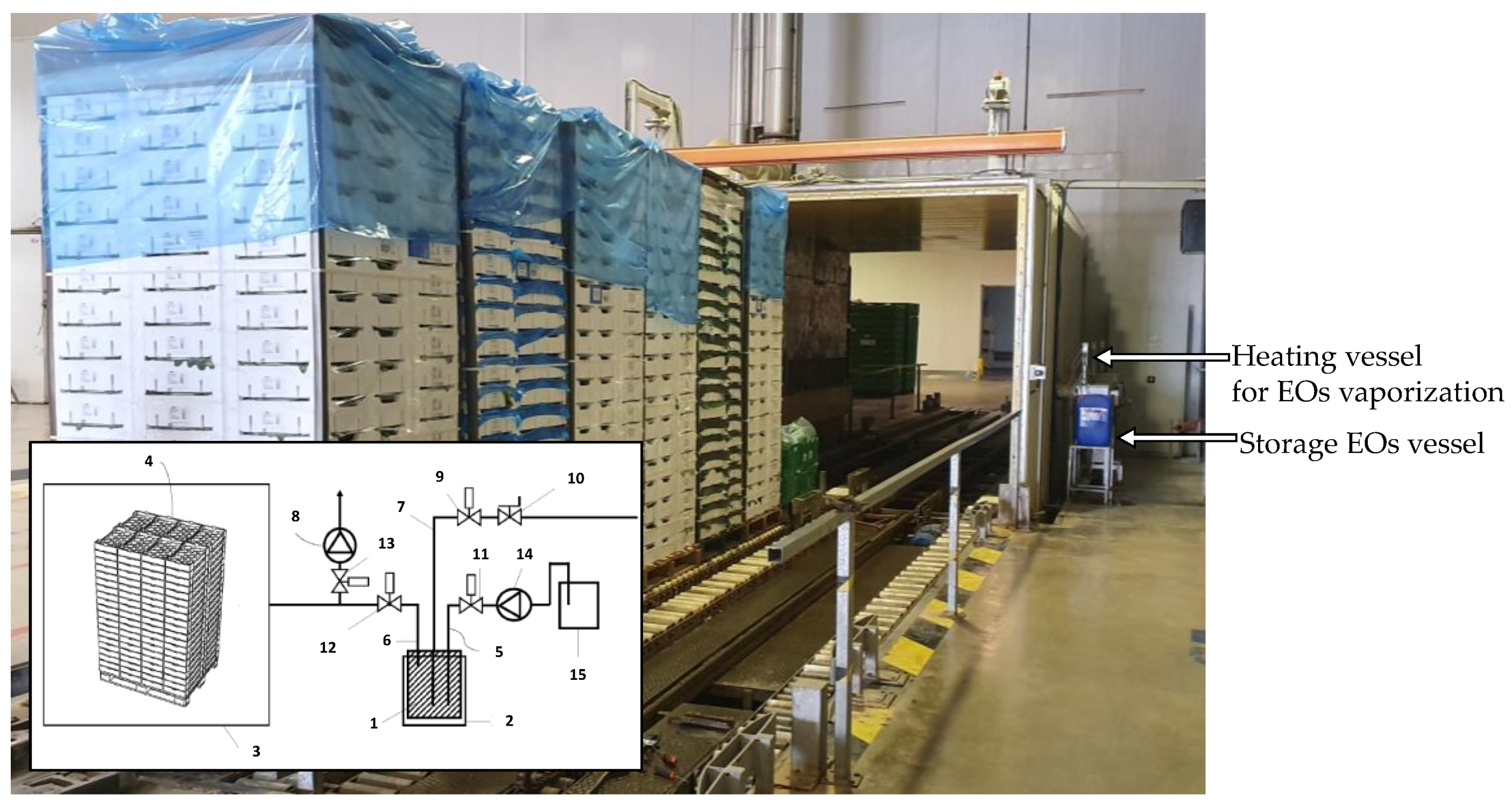 Foods 10 00498 g003 Foods 10 00498 g003