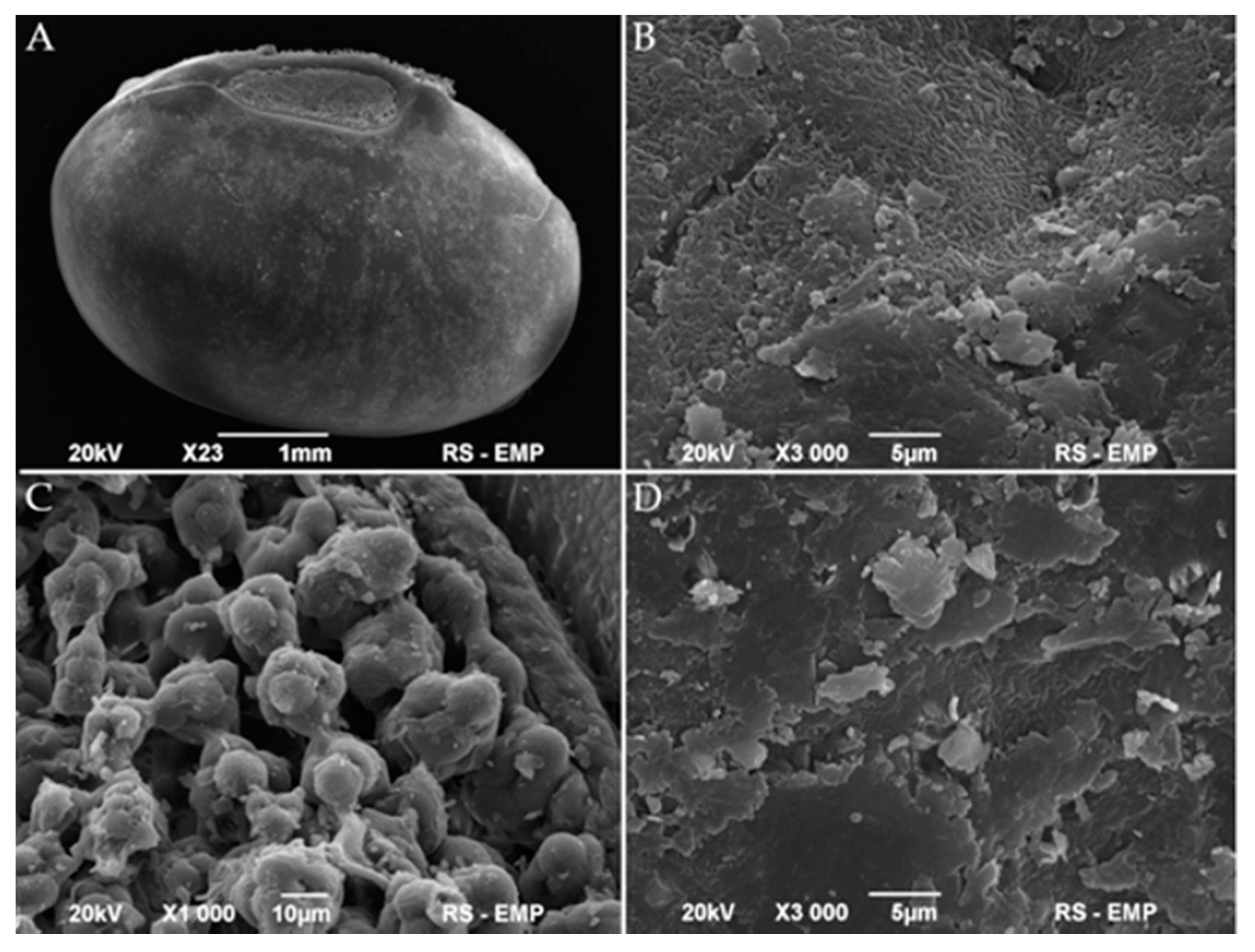 Foods 10 00542 g002 Foods 10 00542 g002