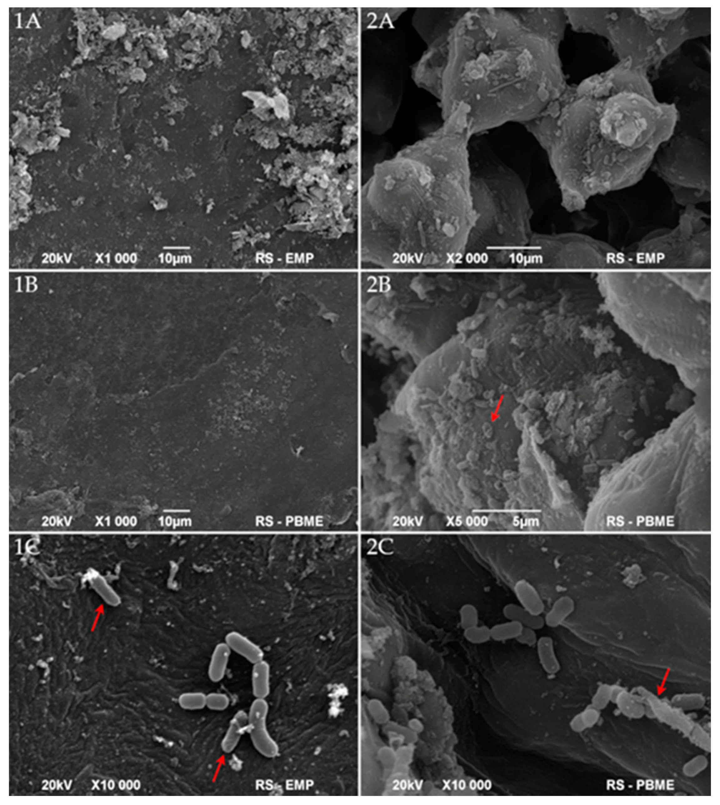 Foods 10 00542 g003 Foods 10 00542 g003