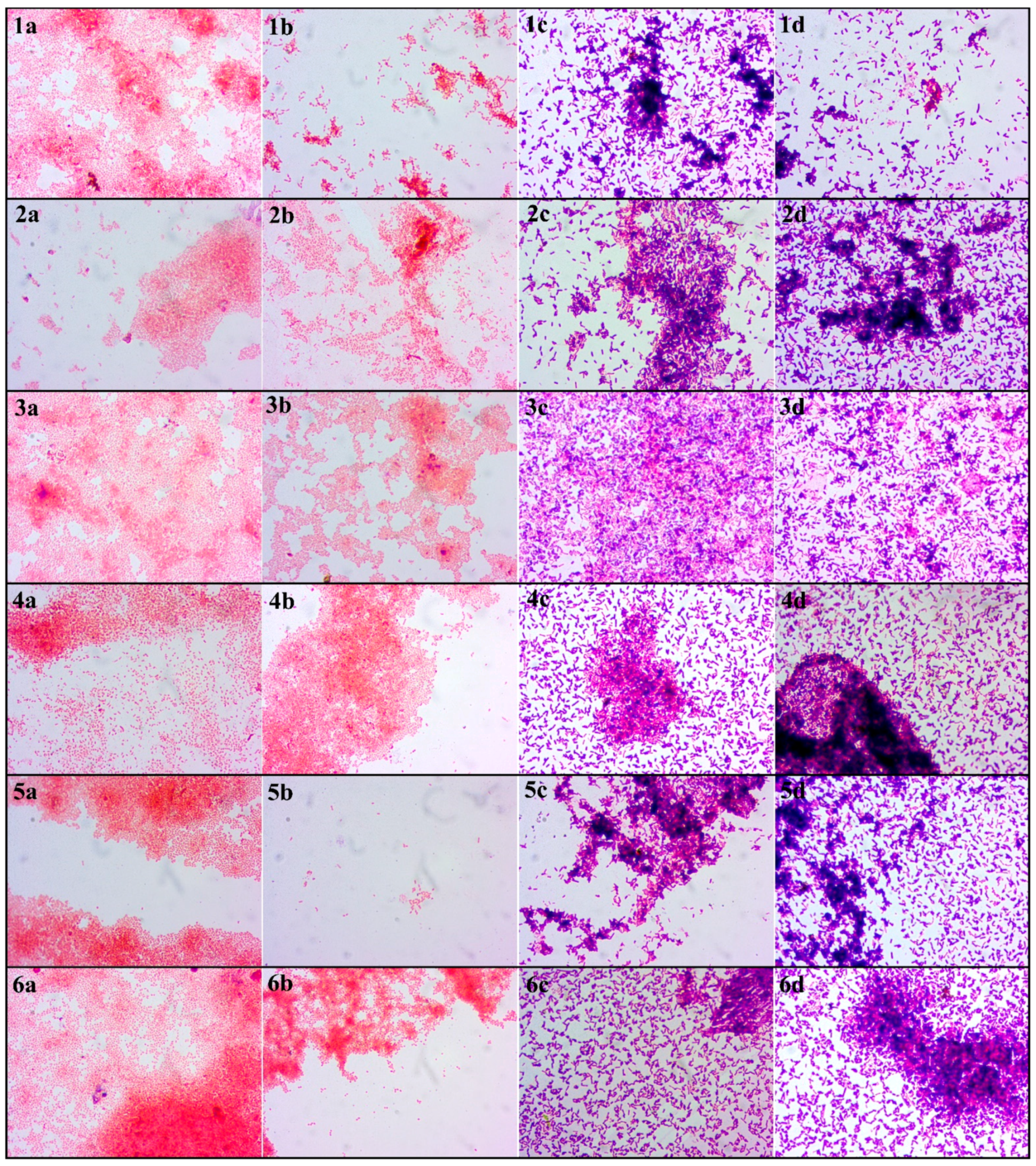 Foods 10 00542 g005 Foods 10 00542 g005
