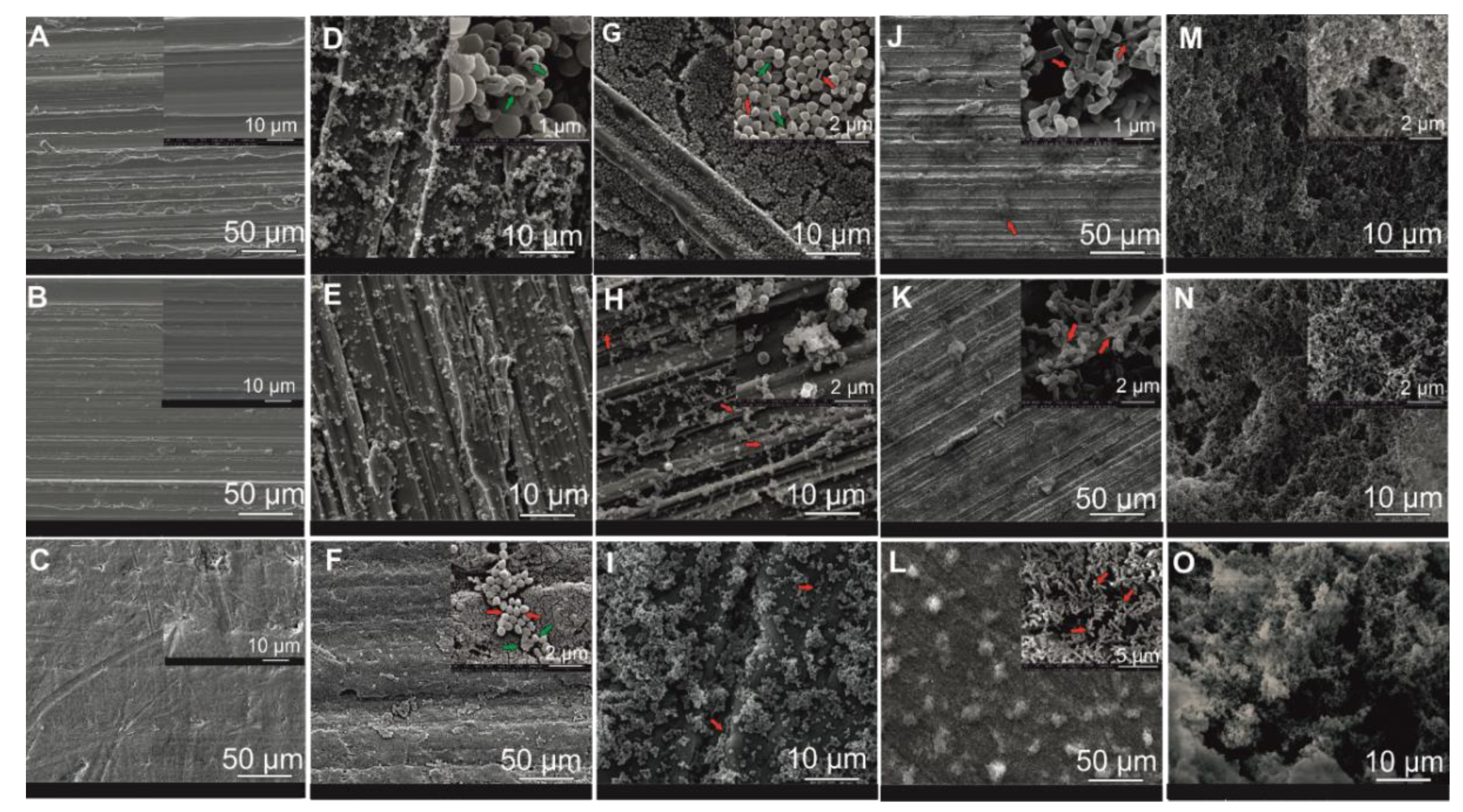Foods 10 00611 g004 Foods 10 00611 g004