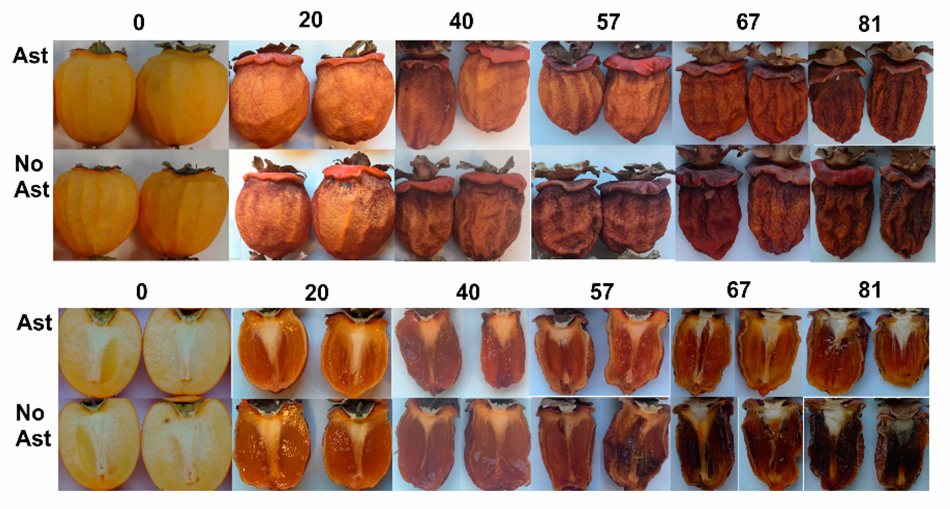 Foods 10 00647 g002 Foods 10 00647 g002