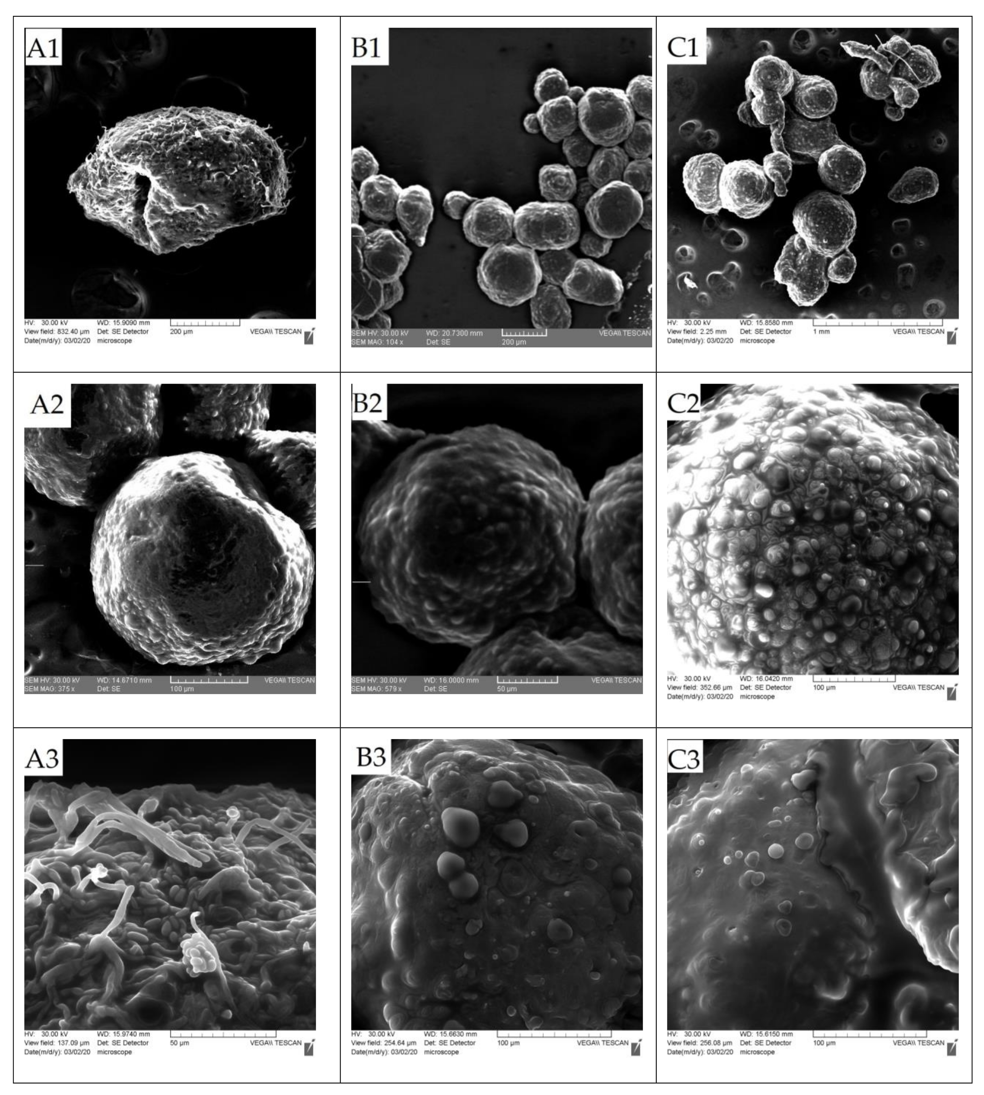 Foods 10 00710 g002a