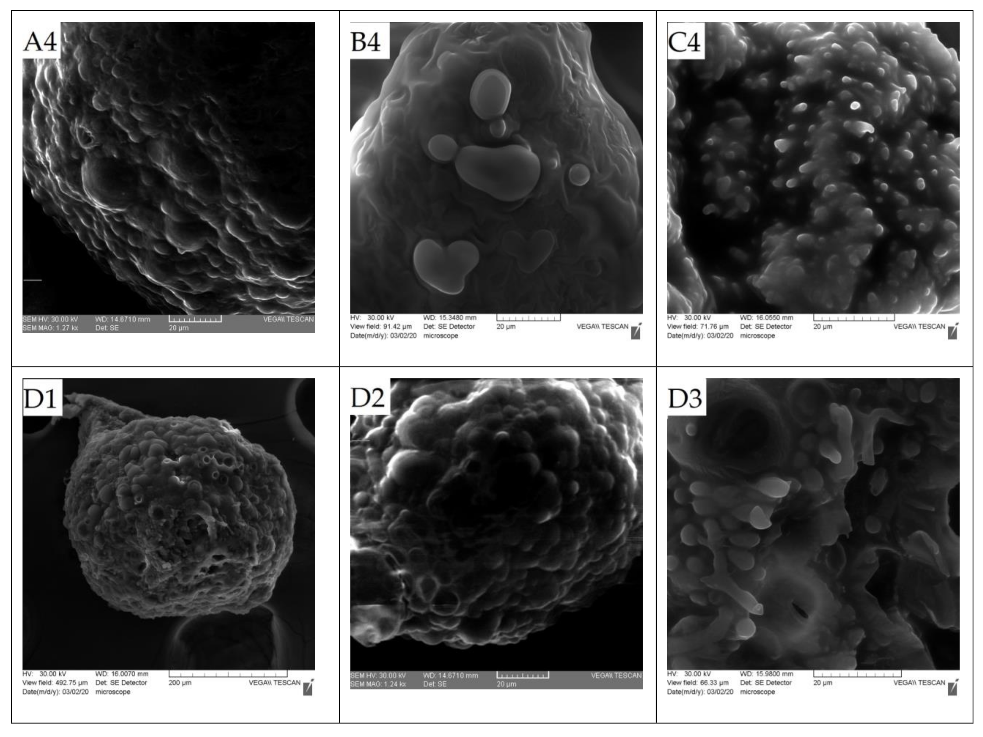 Foods 10 00710 g002b