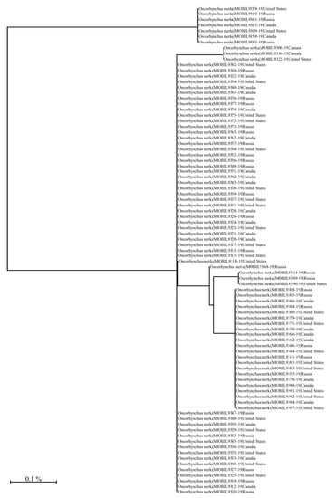 Foods 10 00717 g0a14