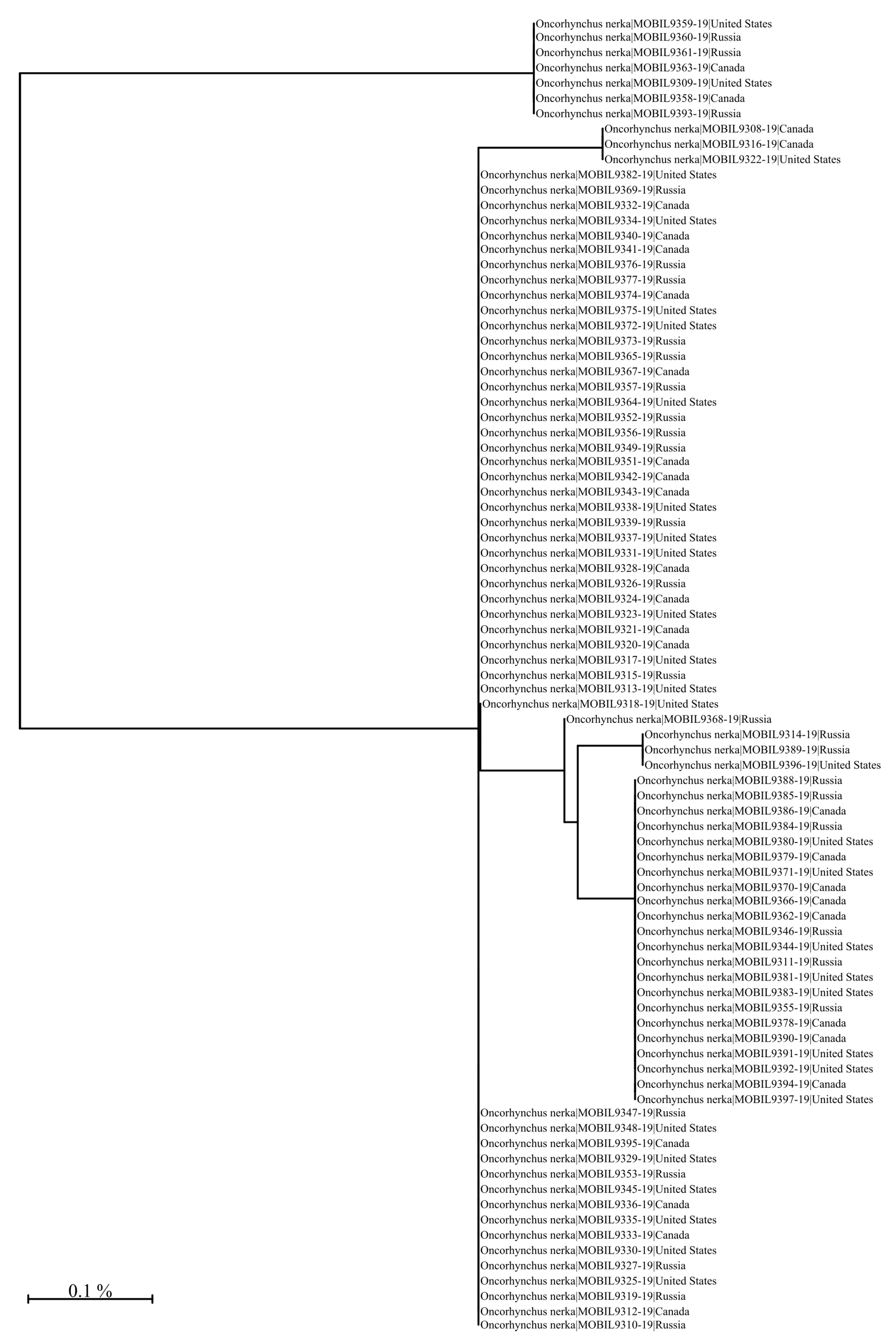 Foods 10 00717 g0a14