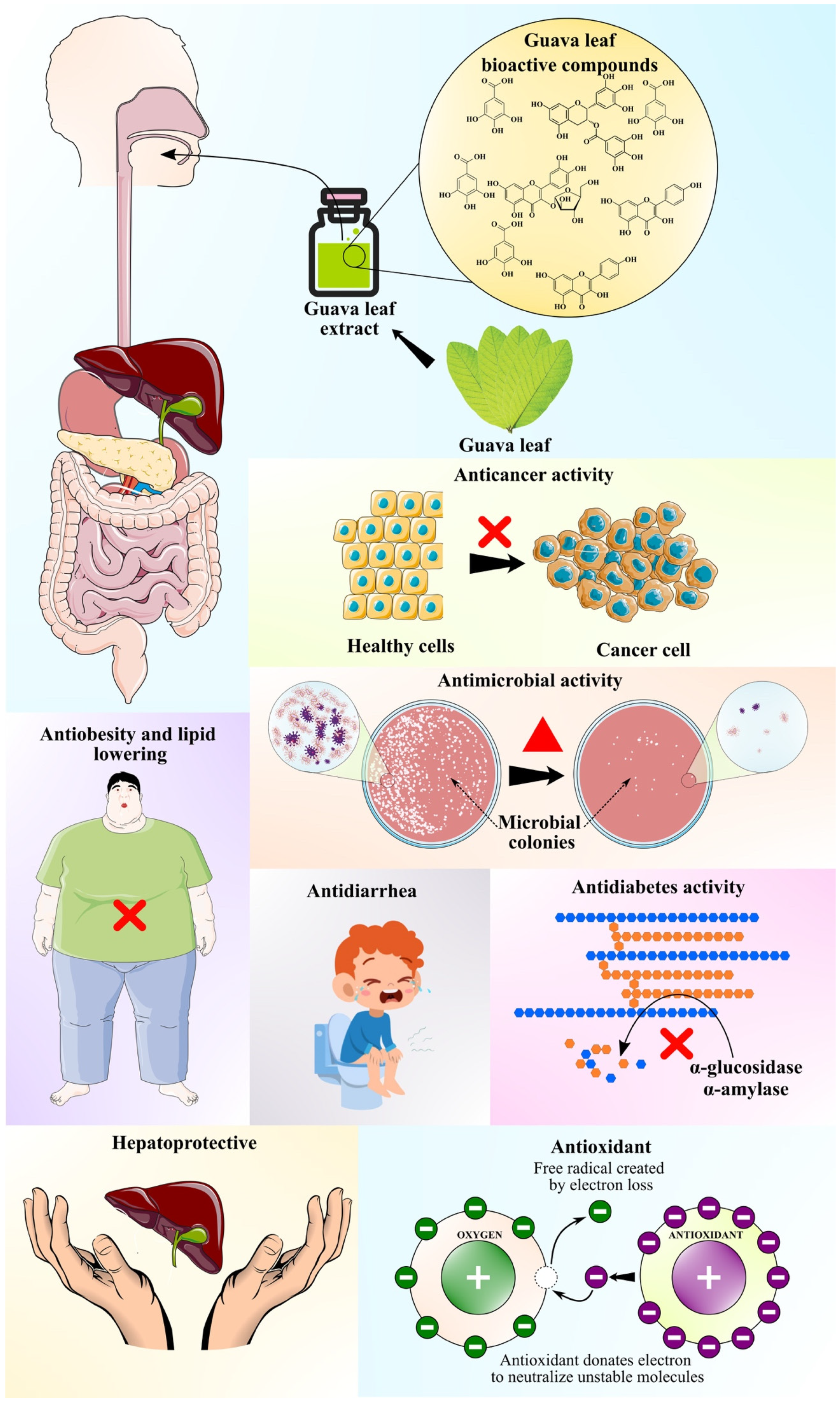 Foods 10 00752 g003 Foods 10 00752 g003