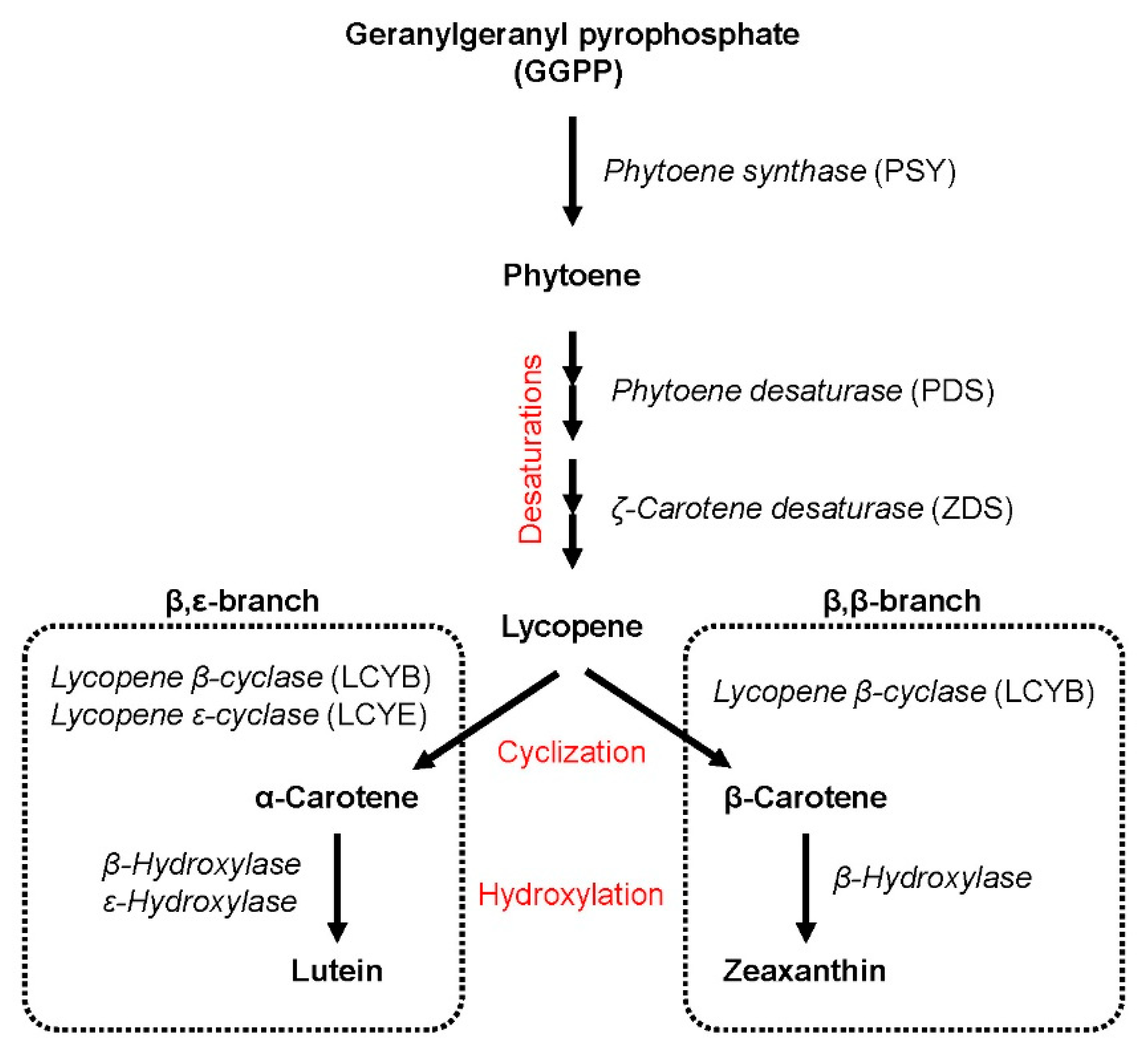 Foods 10 00757 g003 Foods 10 00757 g003