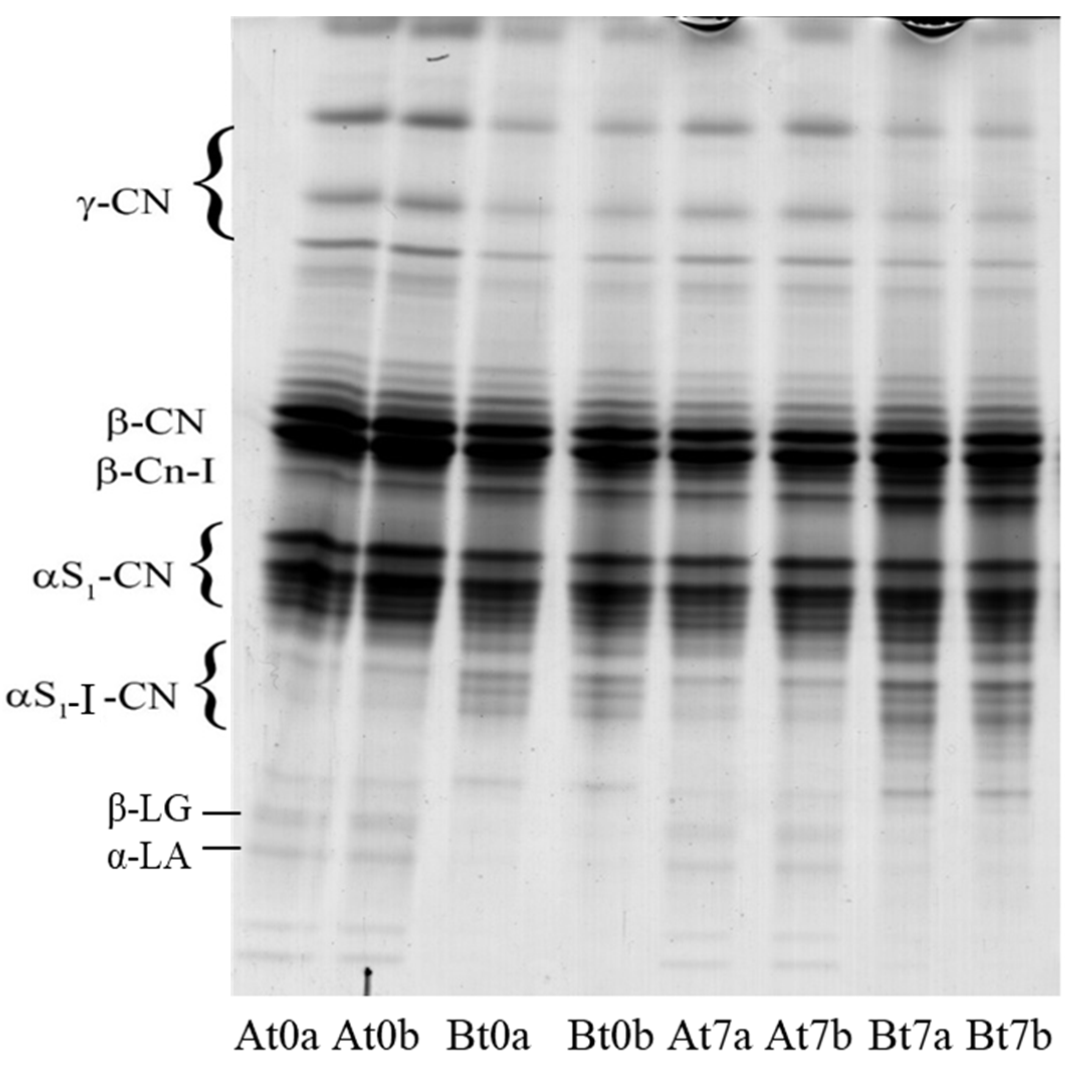 Foods 10 00833 g003 Foods 10 00833 g003